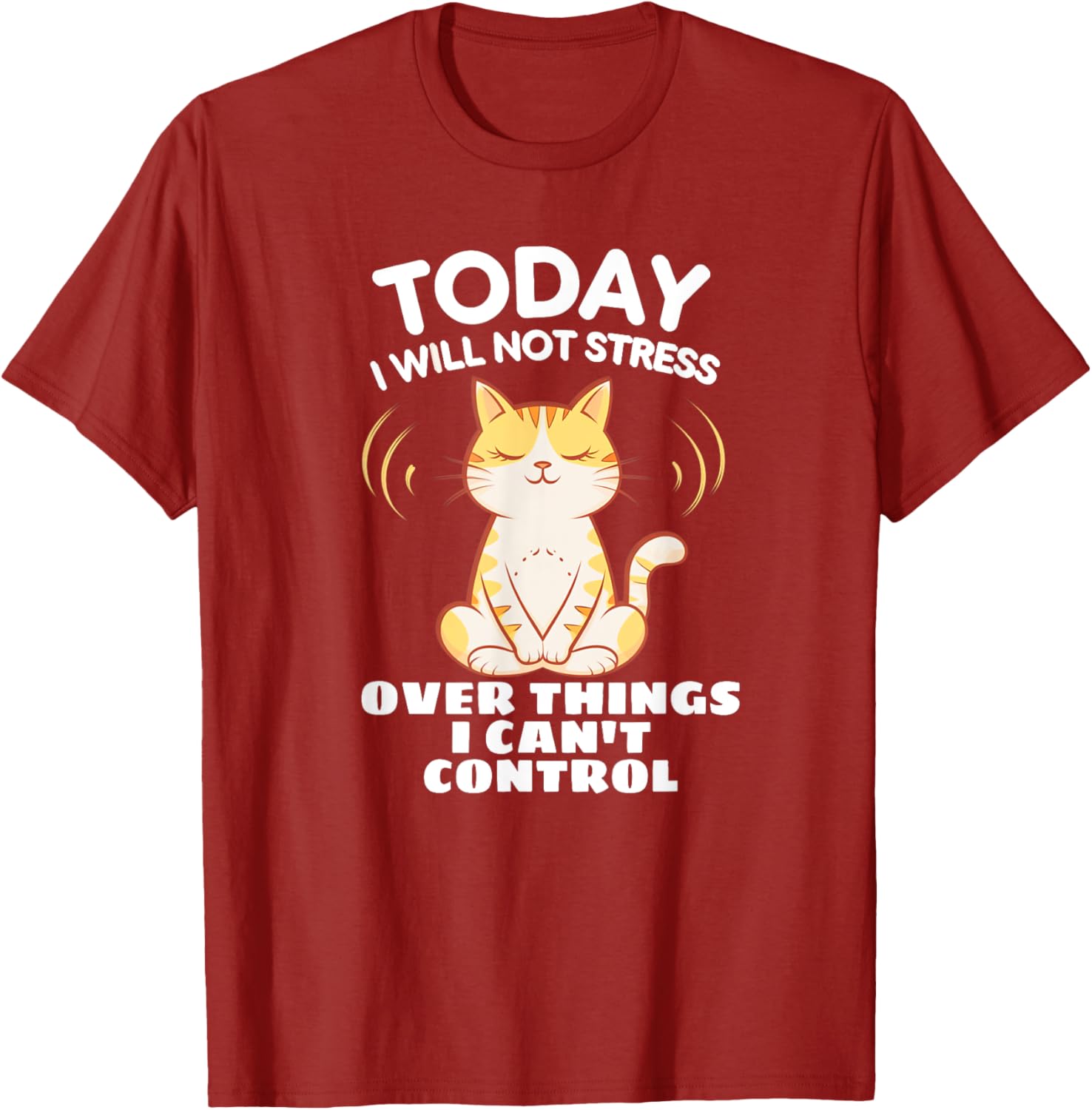 Today I Will Not Stress Yoga Cat T-Shirt for Relaxation and Peace - 13