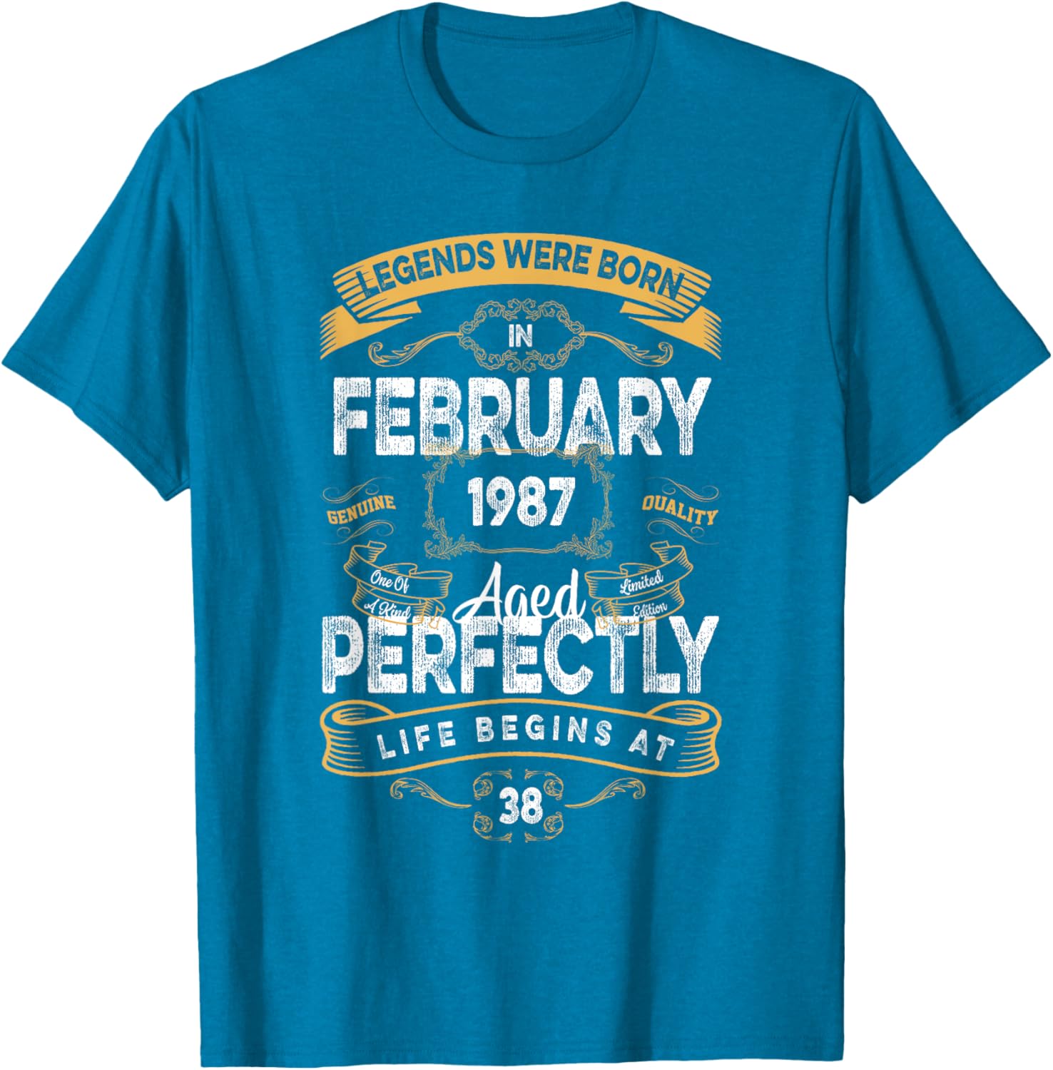 Vintage 38th Birthday T-Shirt for Legends Born in February 1987 - 5