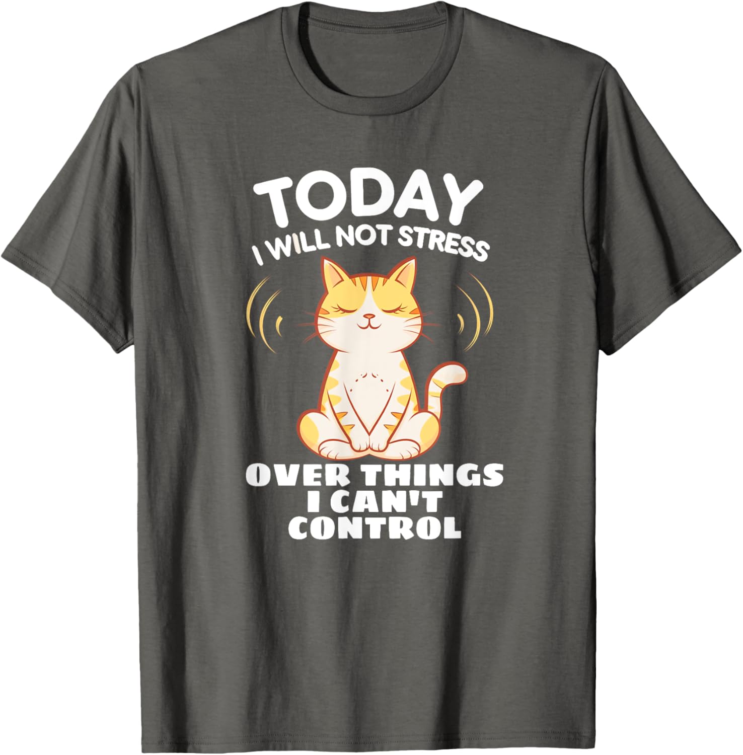 Today I Will Not Stress Yoga Cat T-Shirt for Relaxation and Peace - 1