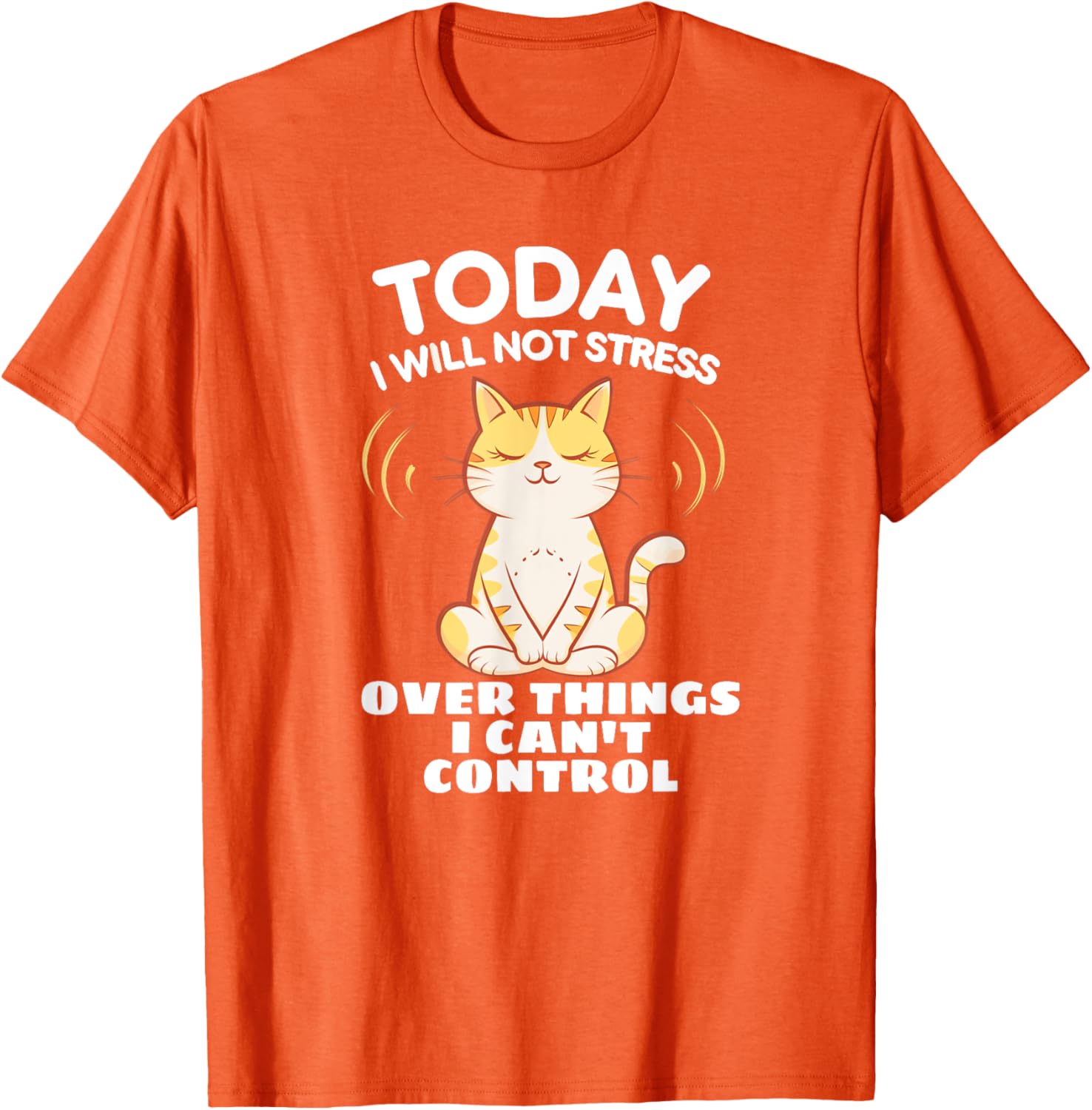 Today I Will Not Stress Yoga Cat T-Shirt for Relaxation and Peace - 12