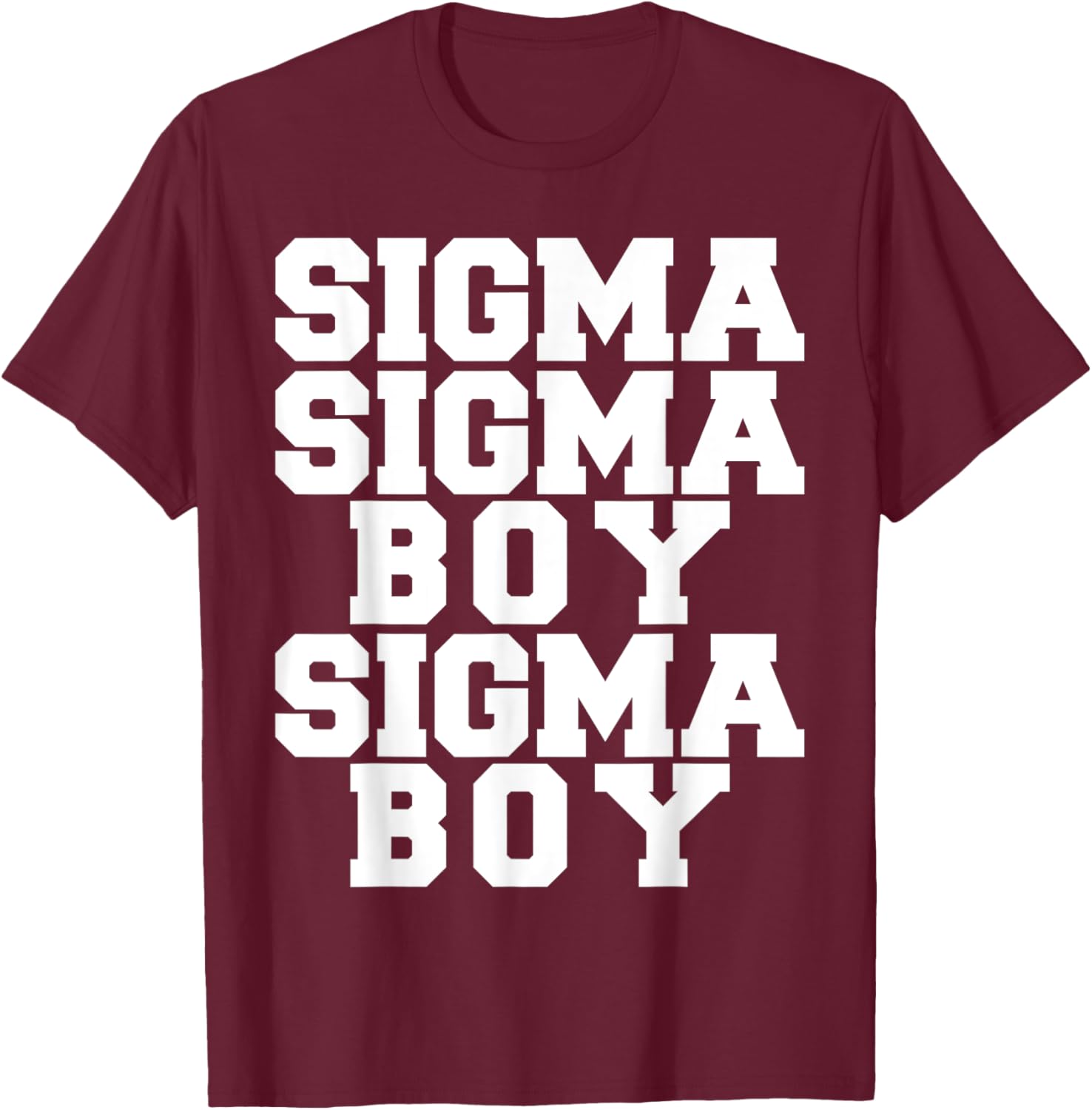 Sigma Boy Motivational T-Shirt for Strong Sigma Males - Trendy Design - 11