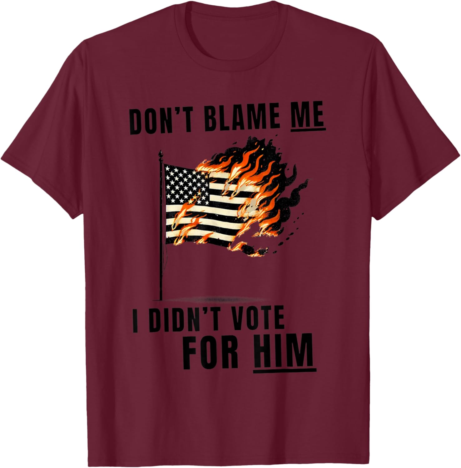 Funny Don't Blame Me I Didn't Vote For Him T-Shirt for Casual Wear - 25