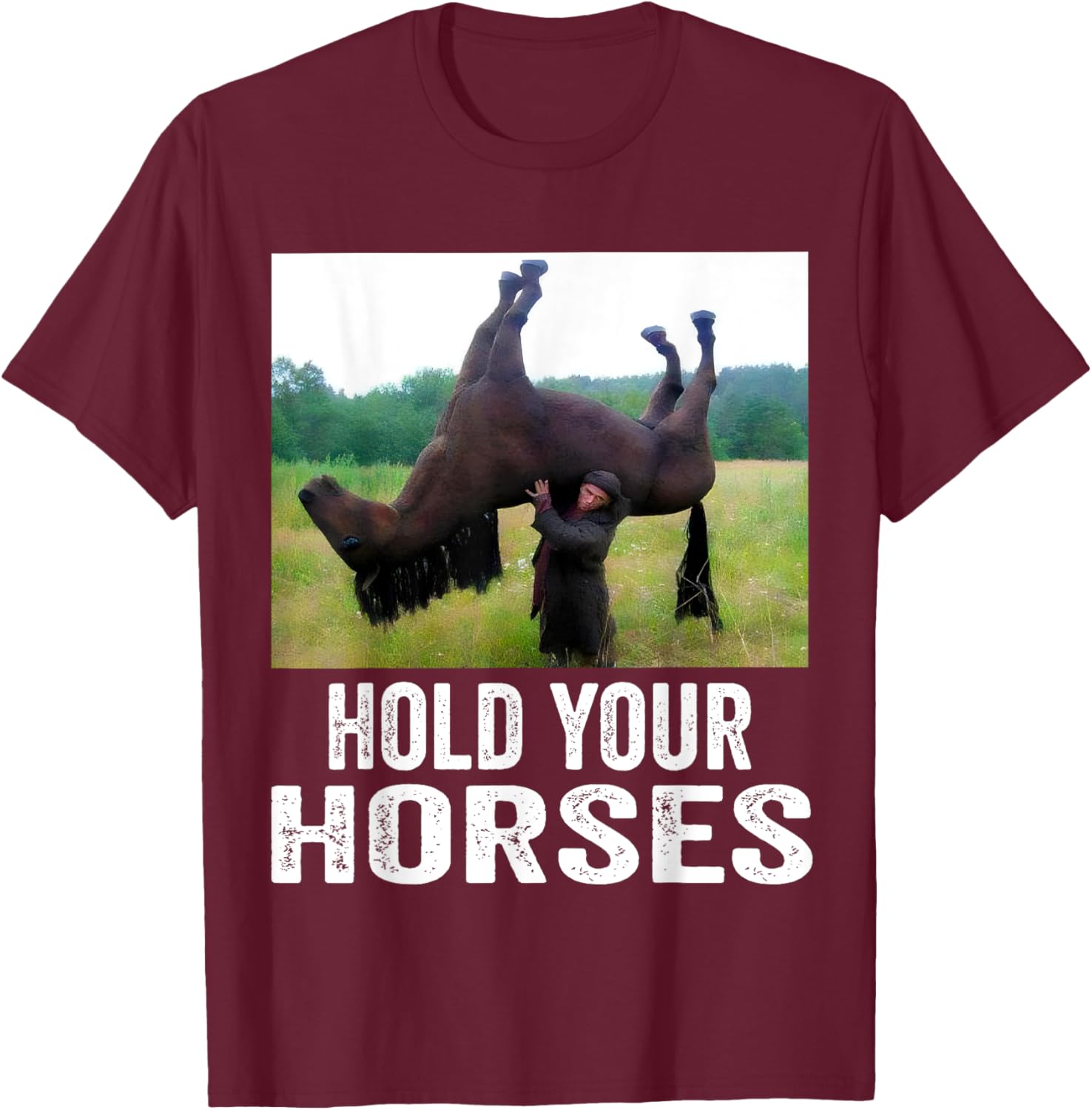 Hold Your Horses Funny Horse Meme T-Shirt for Men and Women - 7