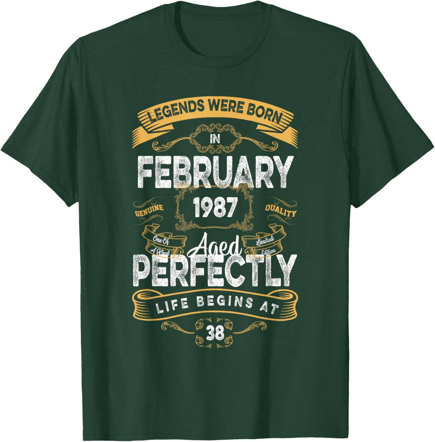 Vintage 38th Birthday T-Shirt for Legends Born in February 1987 - 8
