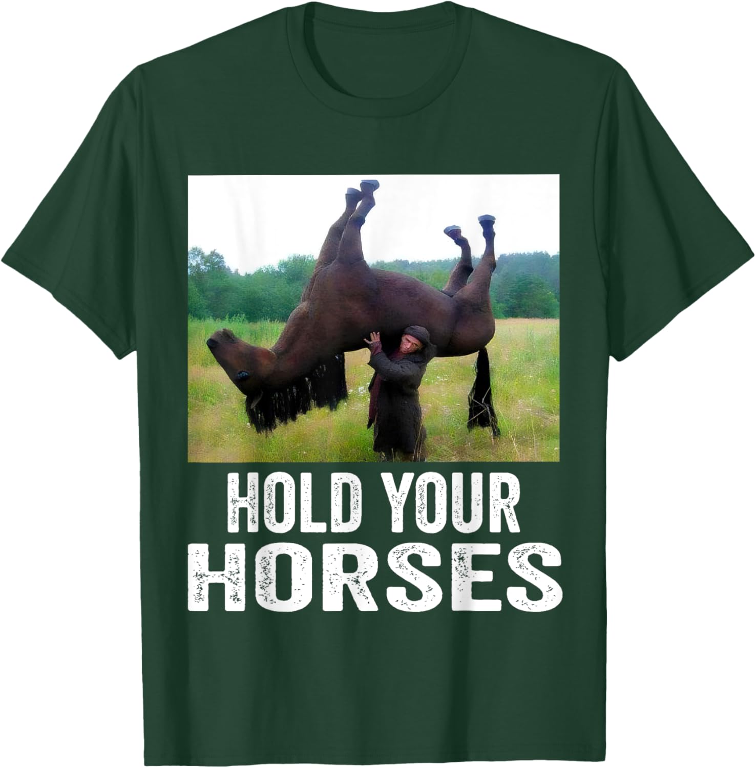 Hold Your Horses Funny Horse Meme T-Shirt for Men and Women - 12