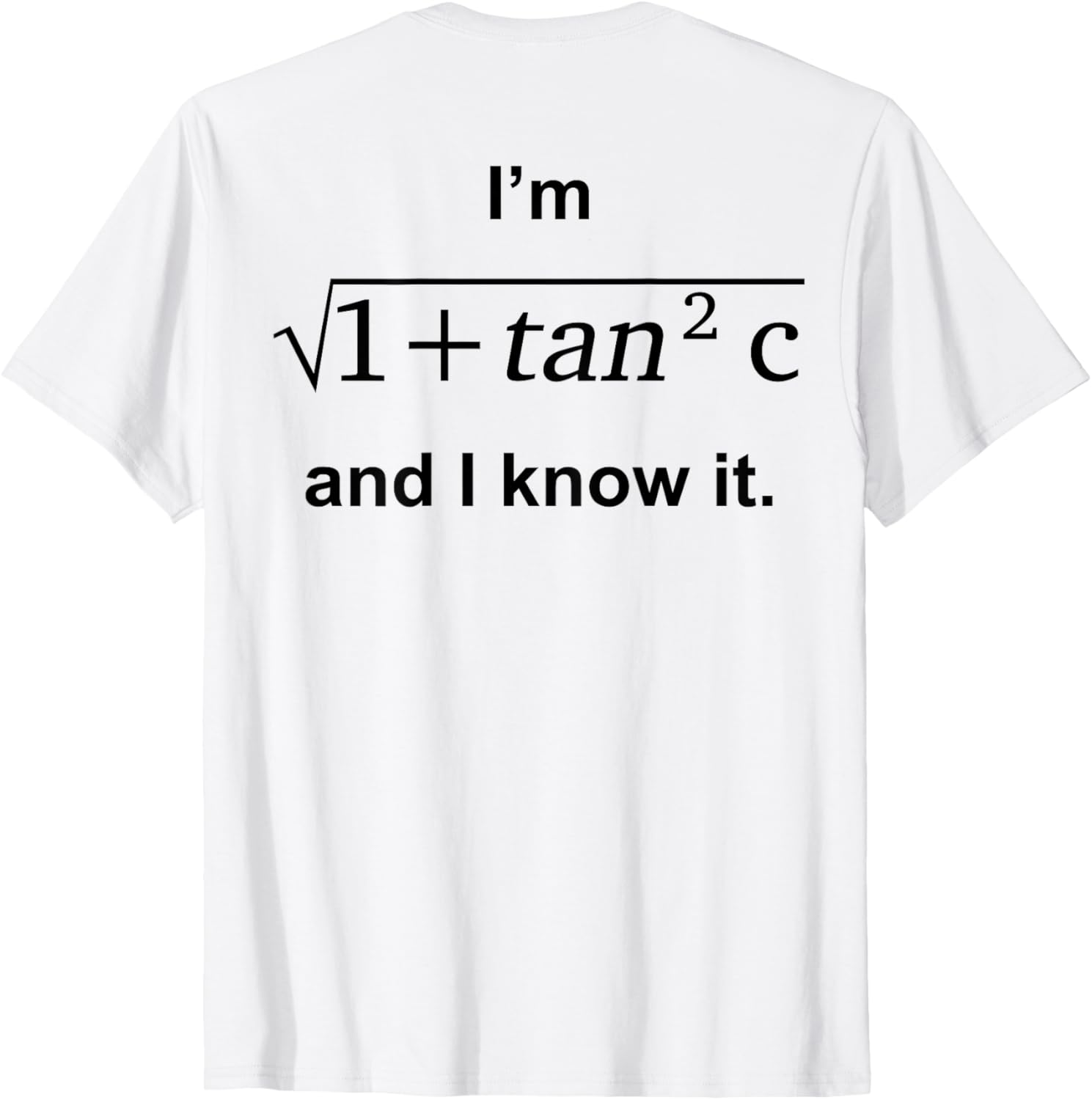 I'm 1 + Tan 2c And I Know It Fun Graphic T-Shirt for Kids - 8