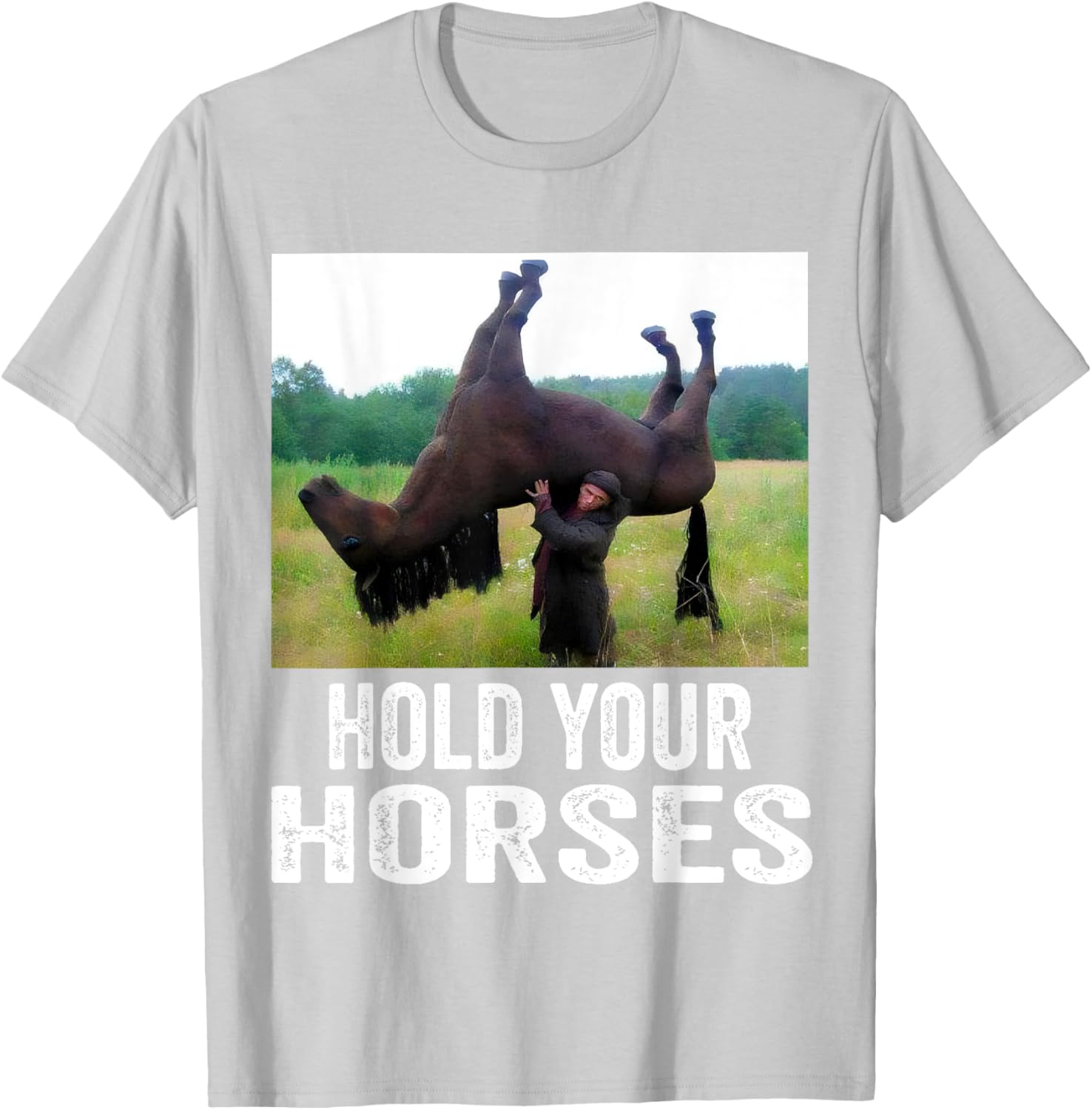 Hold Your Horses Funny Horse Meme T-Shirt for Men and Women - 24
