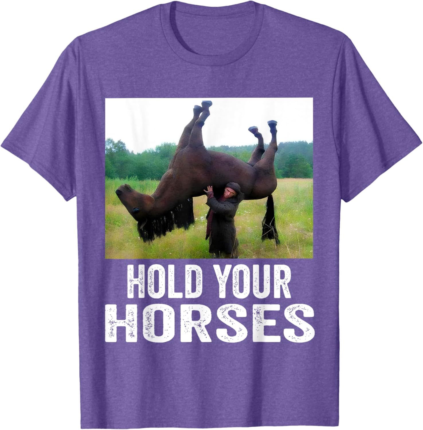 Hold Your Horses Funny Horse Meme T-Shirt for Men and Women - 5