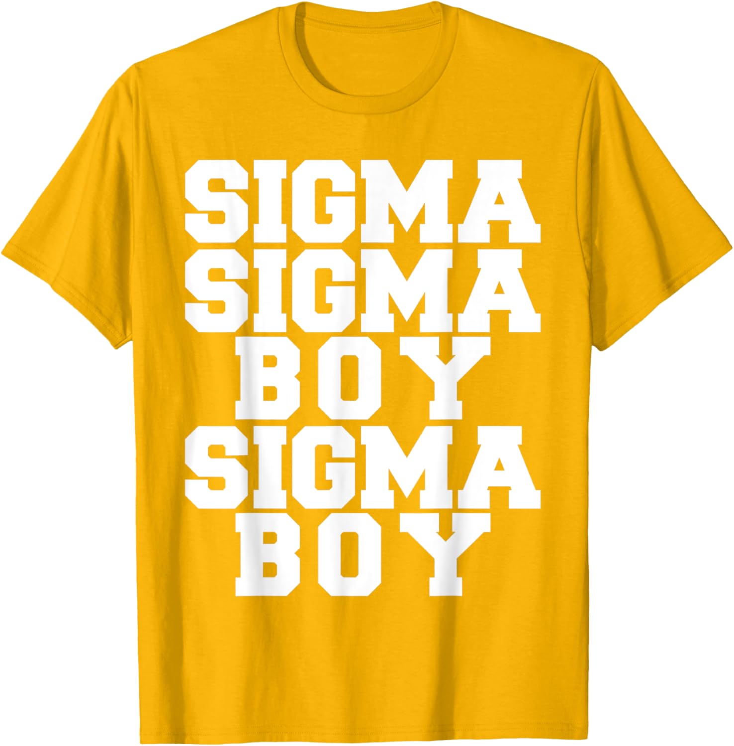 Sigma Boy Motivational T-Shirt for Strong Sigma Males - Trendy Design - 3