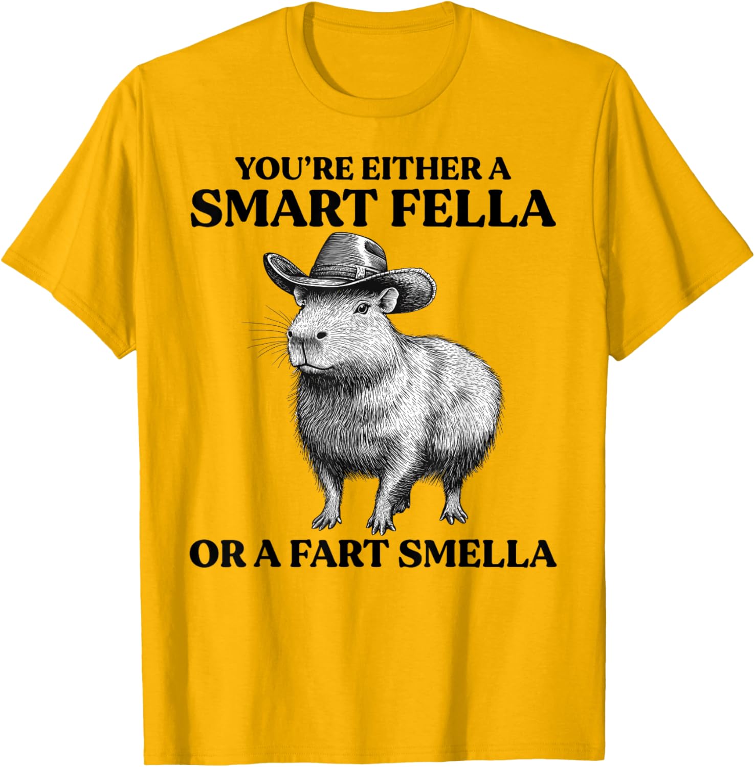 Funny Capybara T-Shirt You're Either A Smart Fella Or A Fart Smella - 13