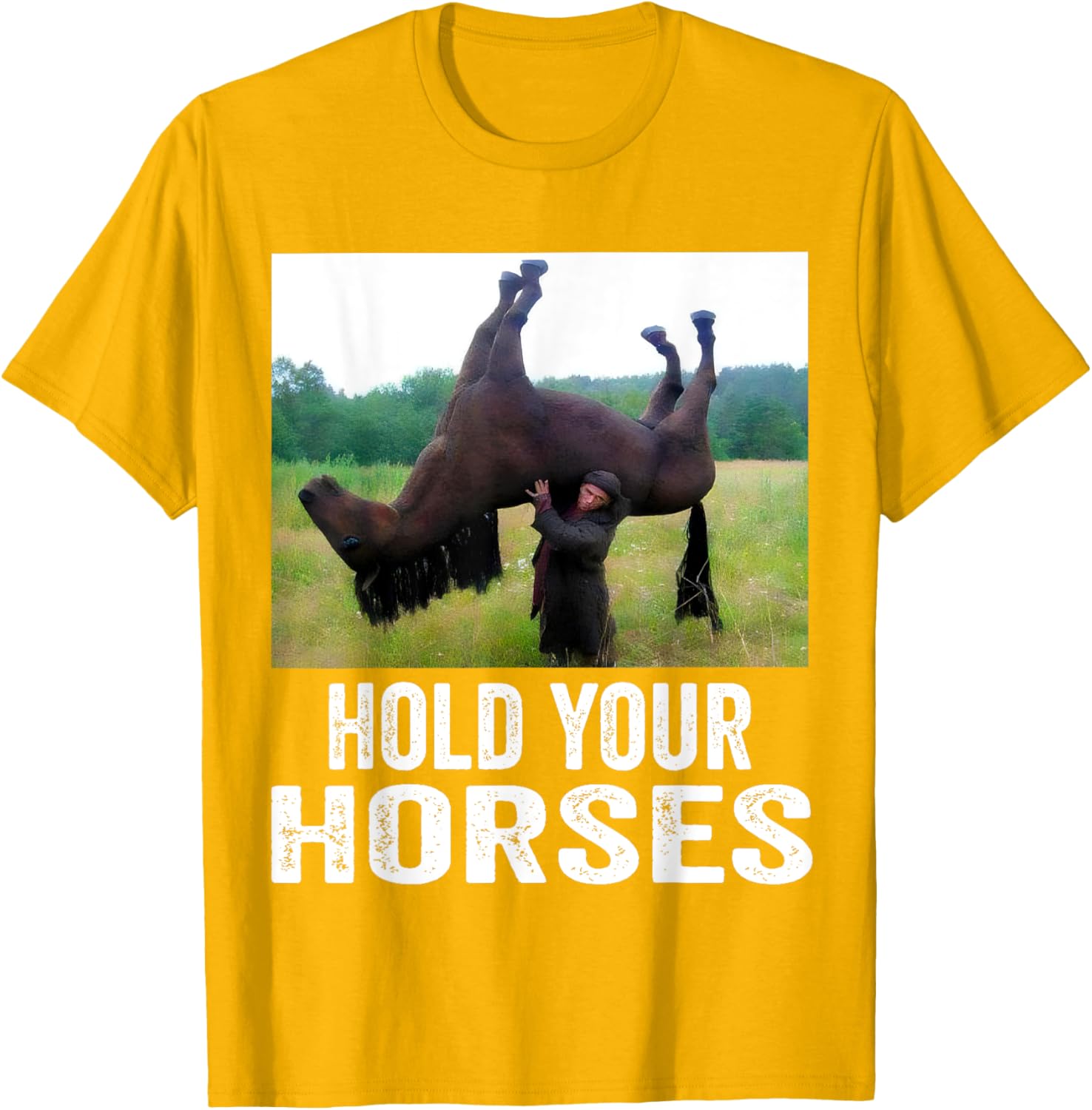 Hold Your Horses Funny Horse Meme T-Shirt for Men and Women - 13