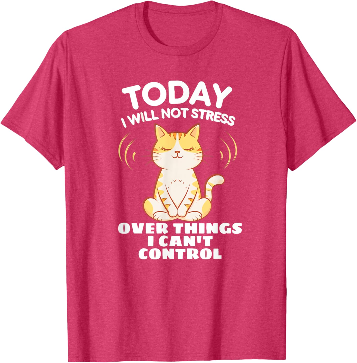 Today I Will Not Stress Yoga Cat T-Shirt for Relaxation and Peace - 2