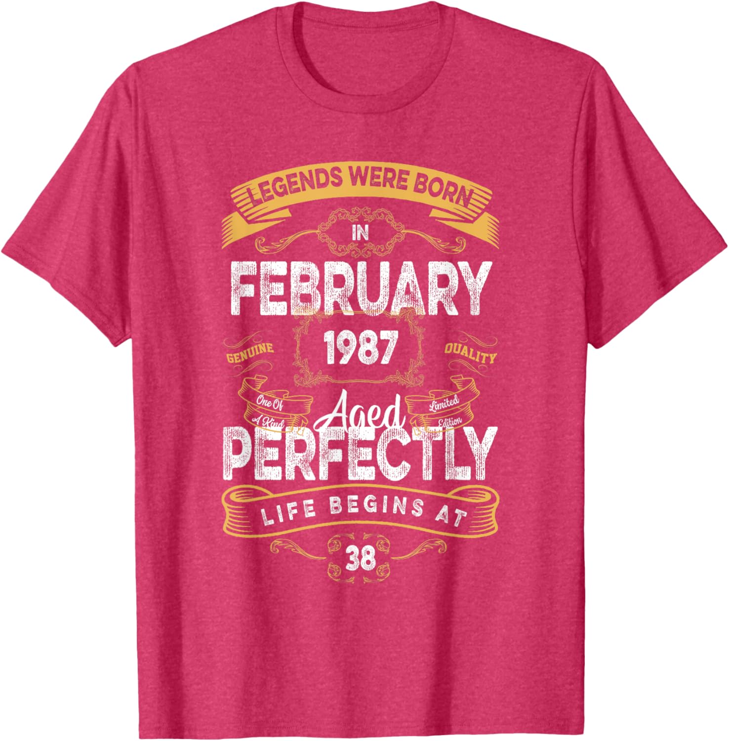 Vintage 38th Birthday T-Shirt for Legends Born in February 1987 - 11