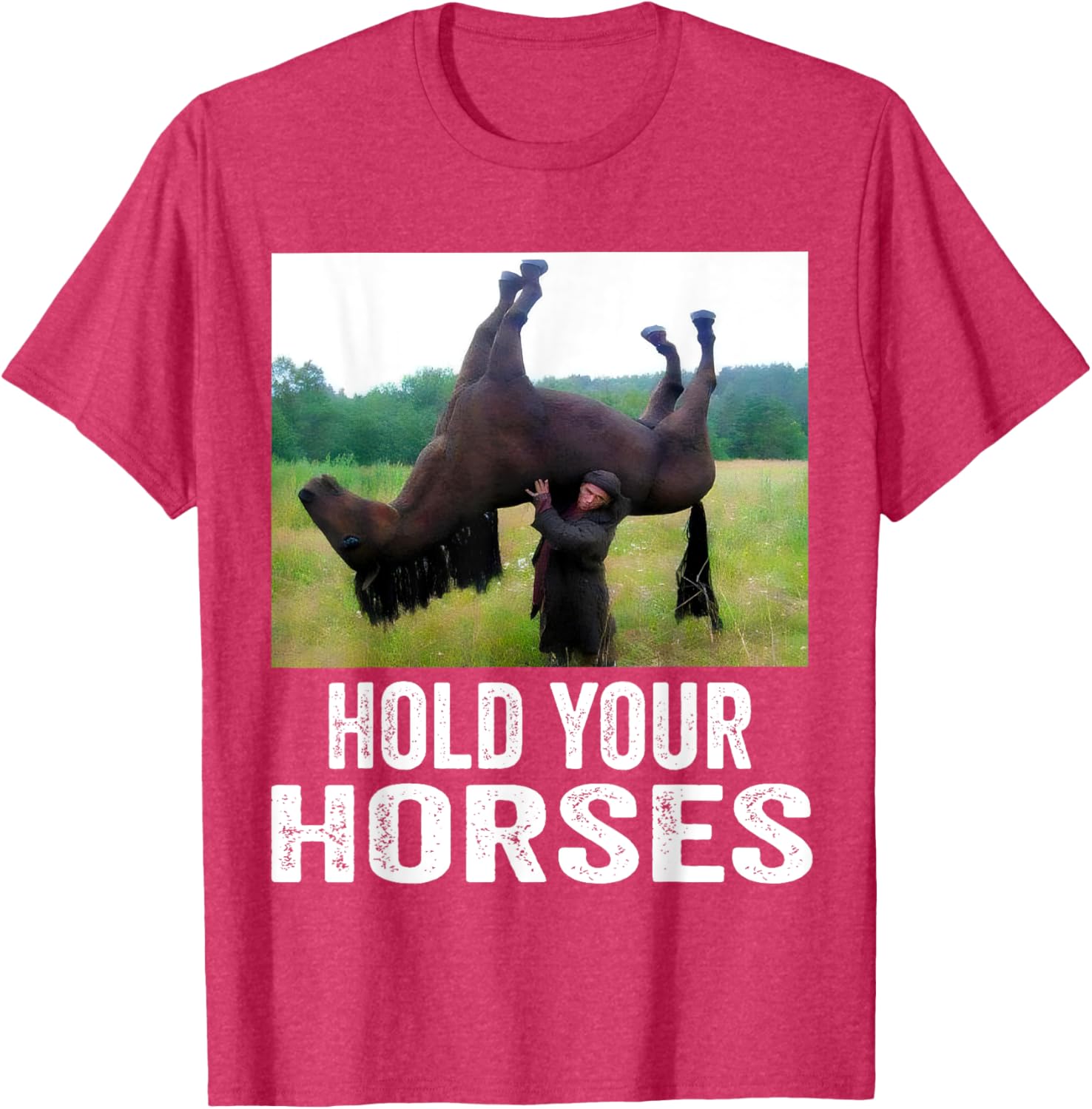 Hold Your Horses Funny Horse Meme T-Shirt for Men and Women - 23