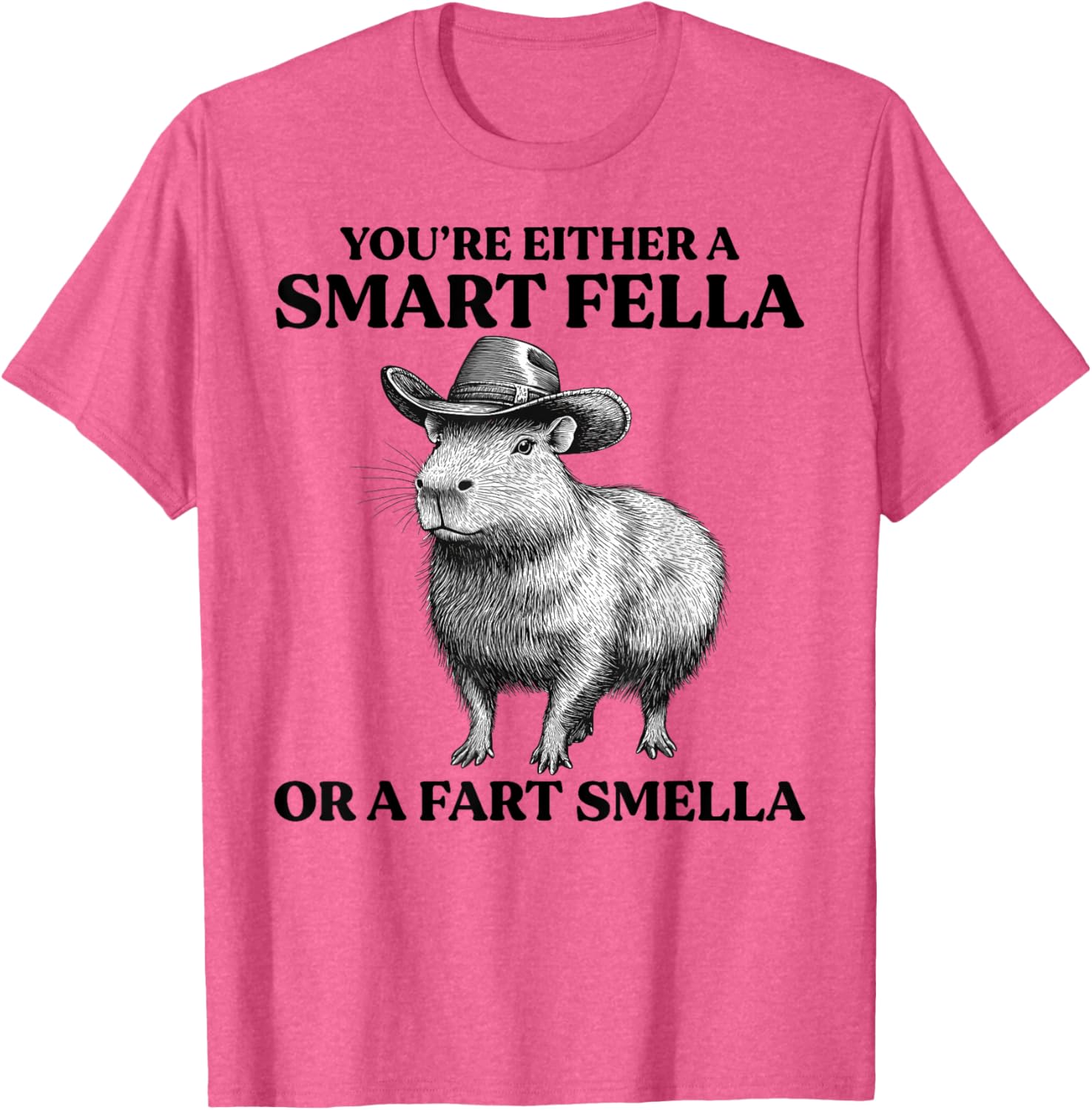 Funny Capybara T-Shirt You're Either A Smart Fella Or A Fart Smella - 12