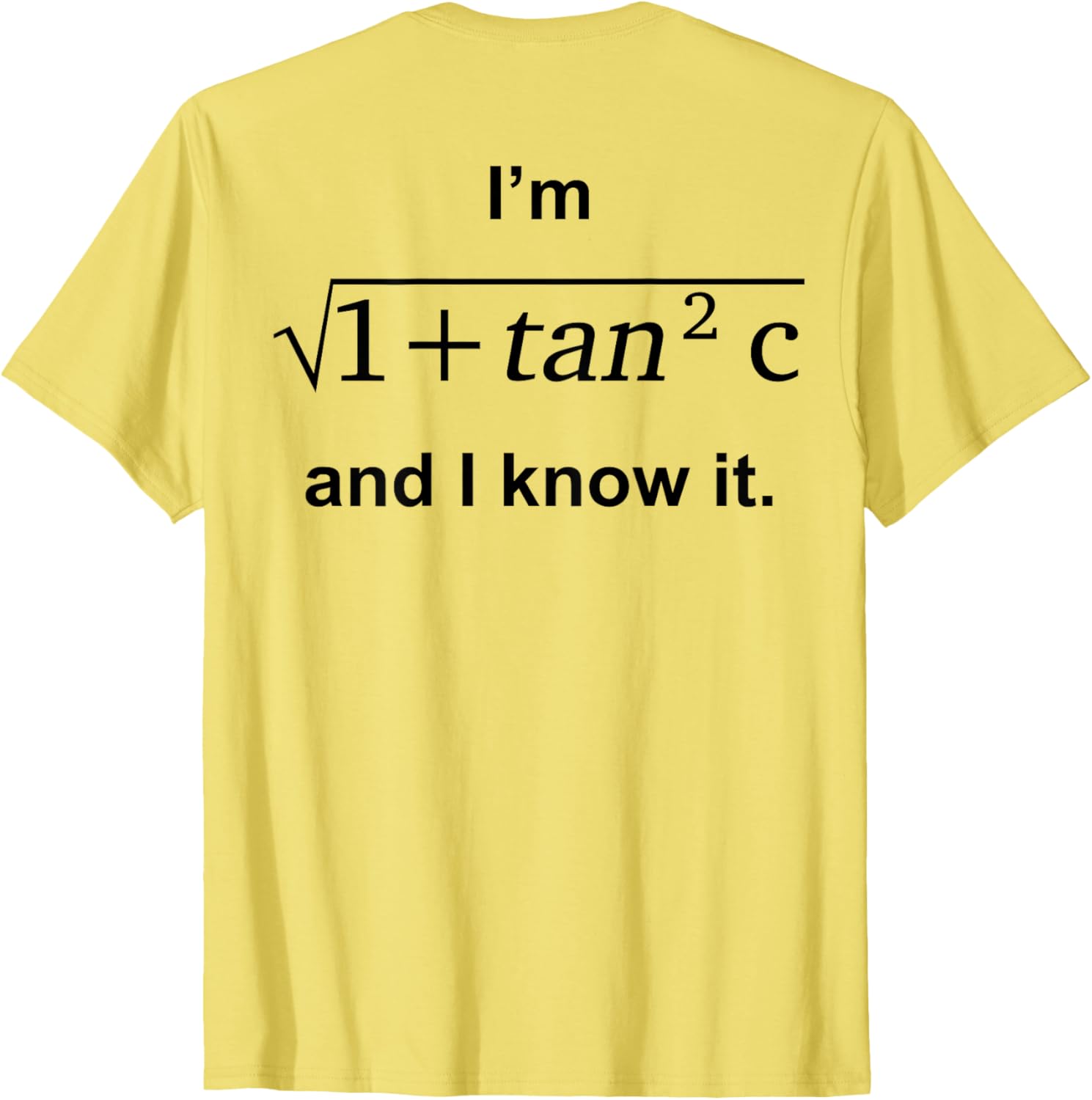 I'm 1 + Tan 2c And I Know It Fun Graphic T-Shirt for Kids - 2