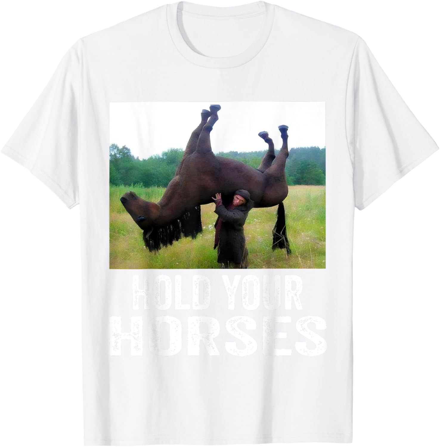 Hold Your Horses Funny Horse Meme T-Shirt for Men and Women - 21