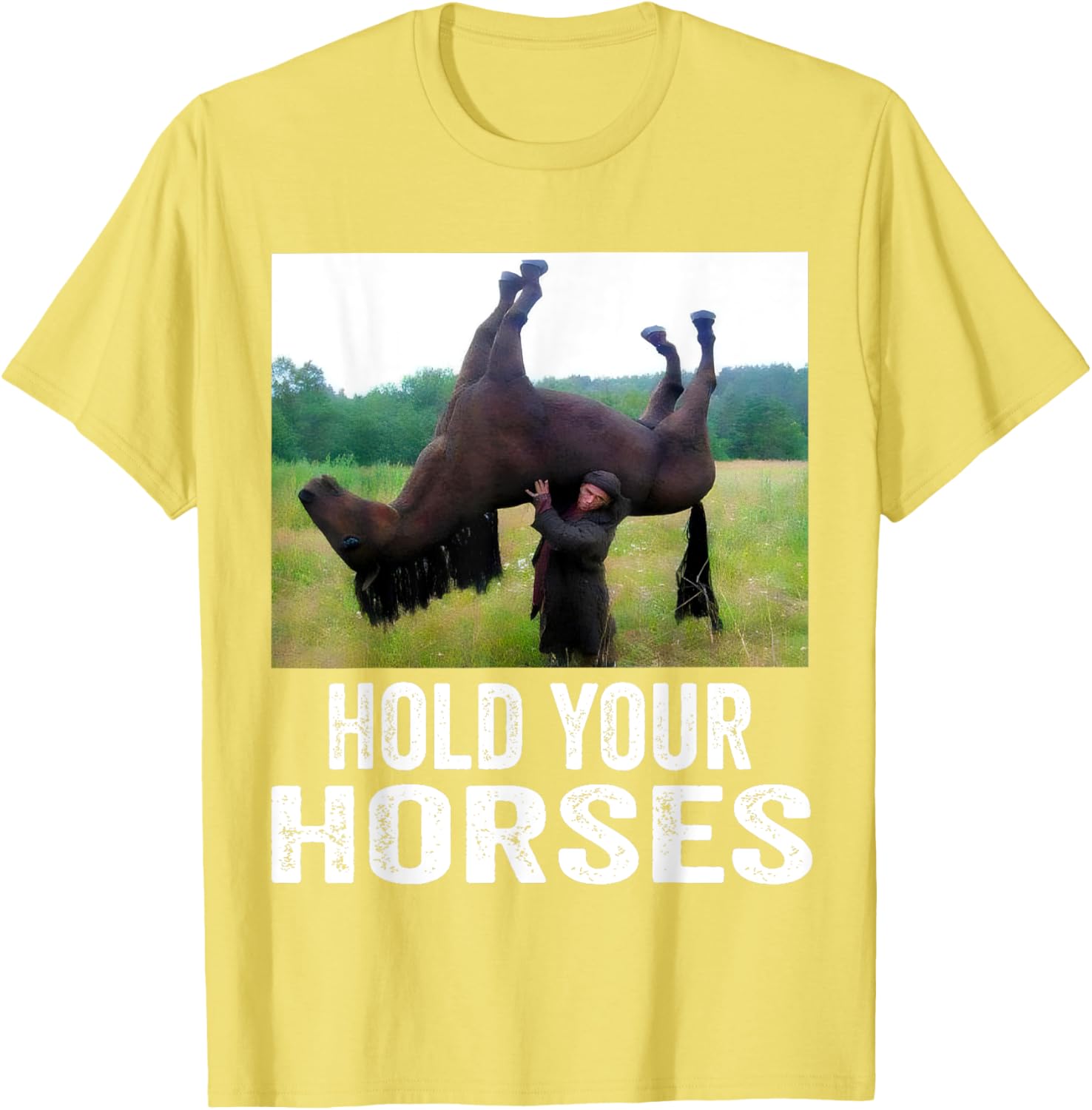 Hold Your Horses Funny Horse Meme T-Shirt for Men and Women - 15