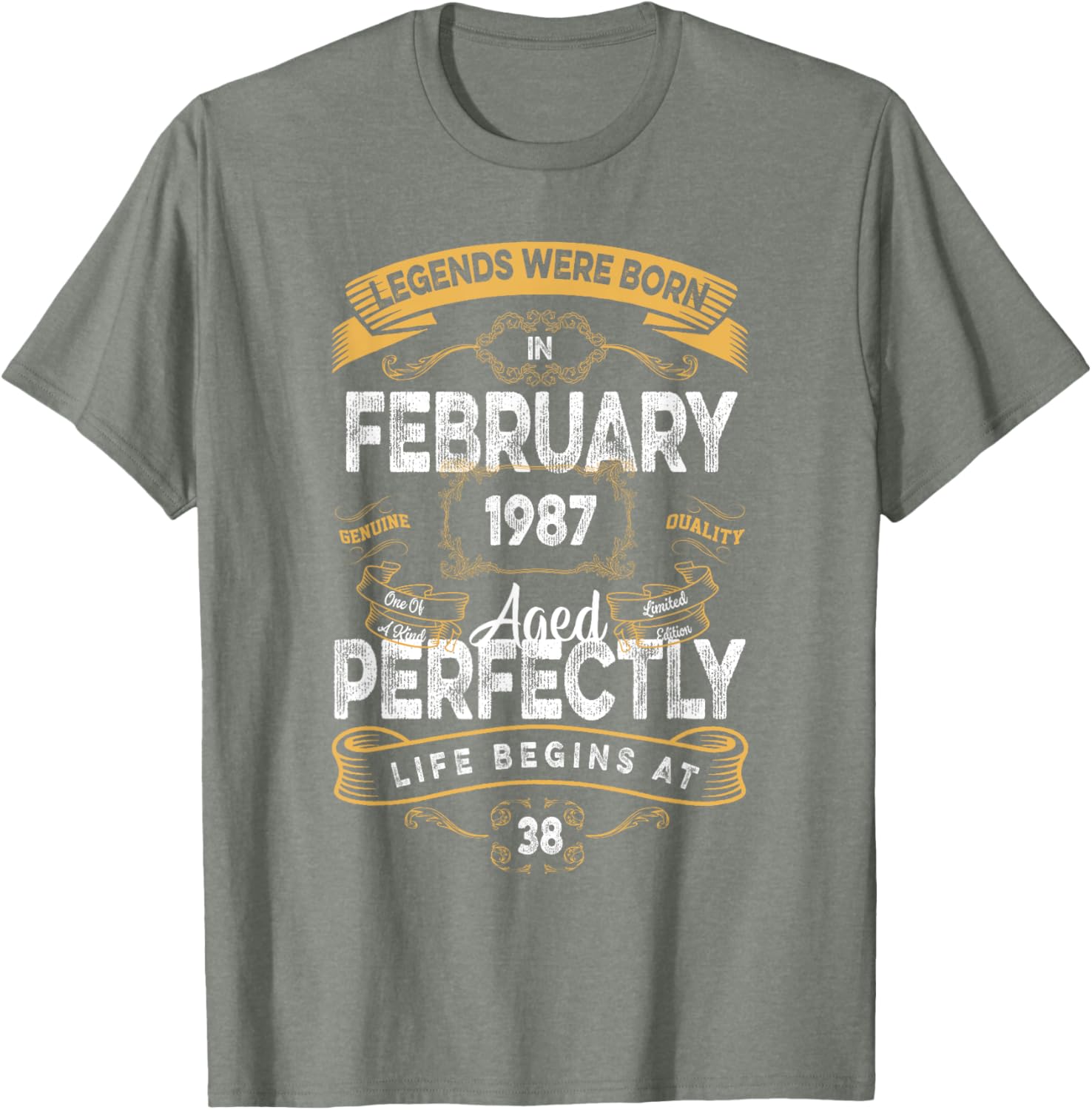 Vintage 38th Birthday T-Shirt for Legends Born in February 1987 - 10