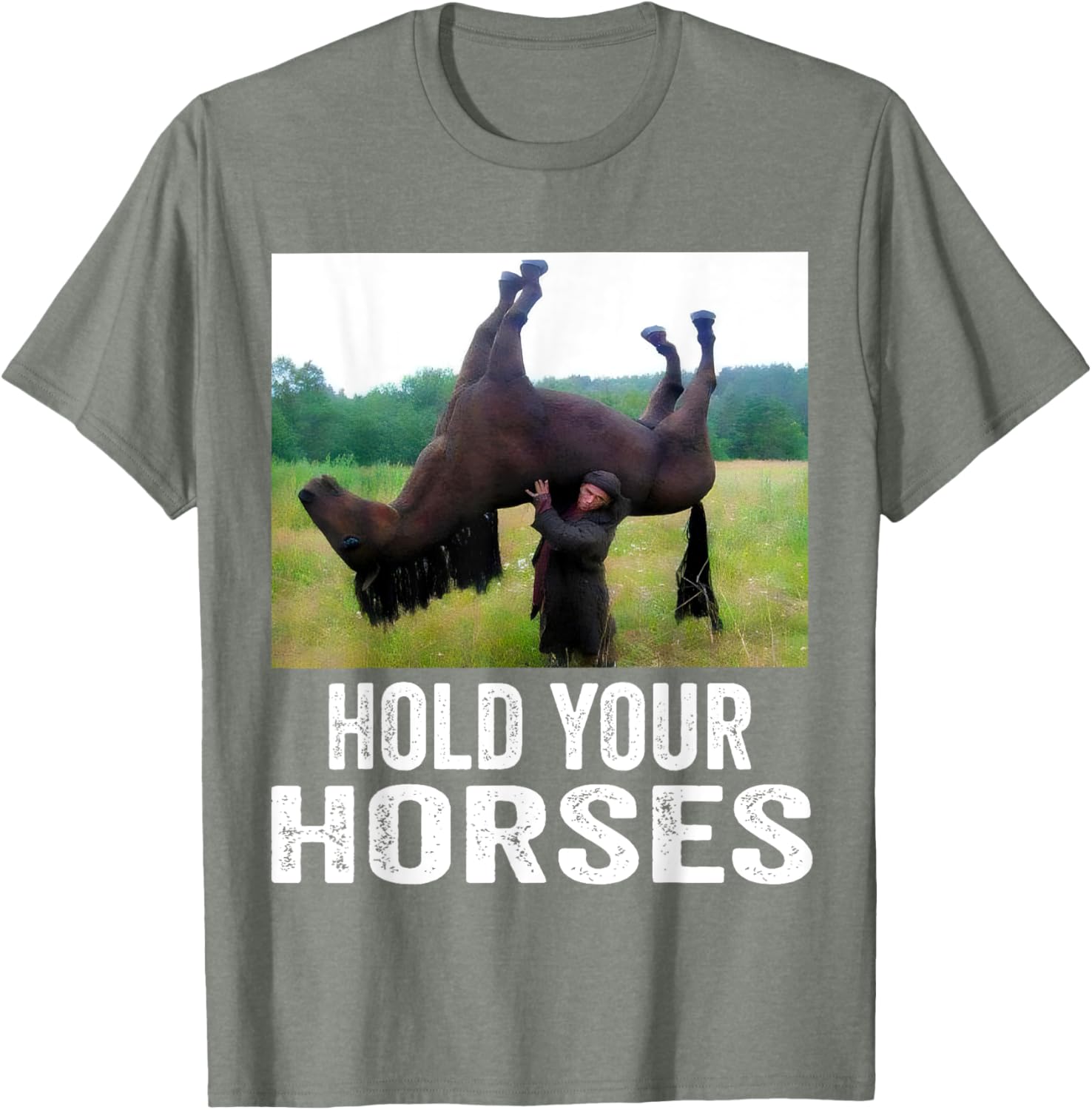 Hold Your Horses Funny Horse Meme T-Shirt for Men and Women - 17