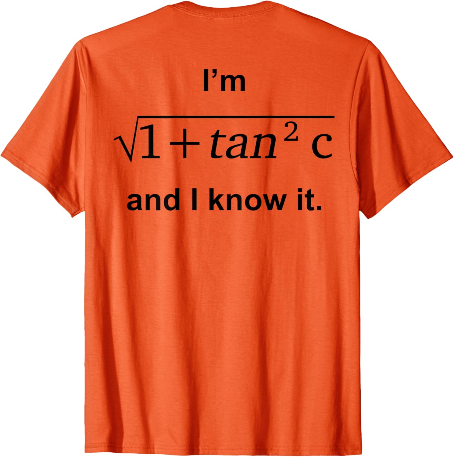 I'm 1 + Tan 2c And I Know It Fun Graphic T-Shirt for Kids - 1