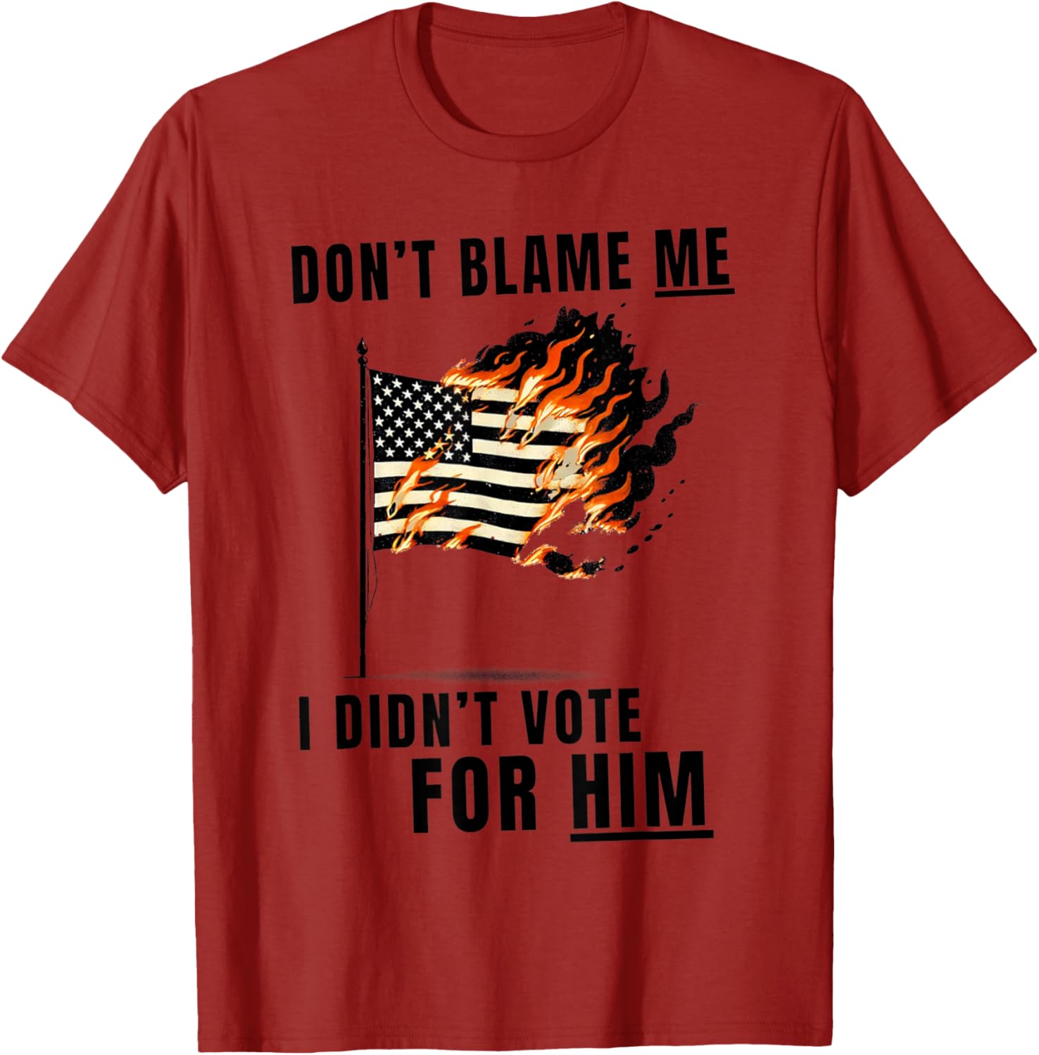 Funny Don't Blame Me I Didn't Vote For Him T-Shirt for Casual Wear - 10