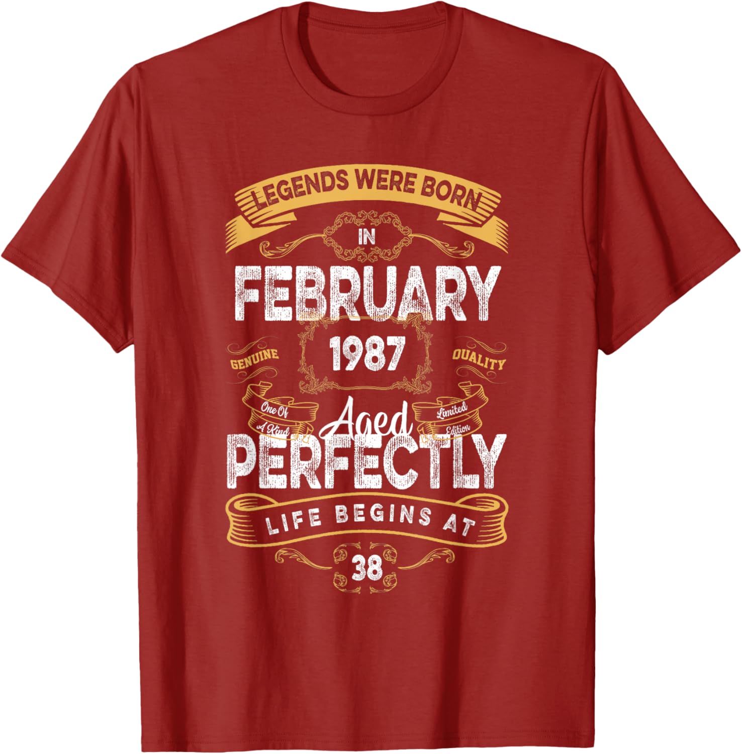 Vintage 38th Birthday T-Shirt for Legends Born in February 1987 - 7