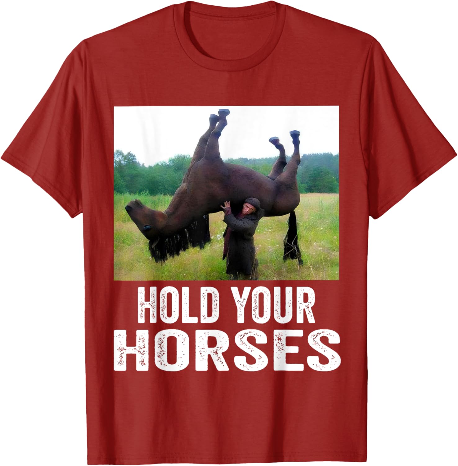 Hold Your Horses Funny Horse Meme T-Shirt for Men and Women - 1