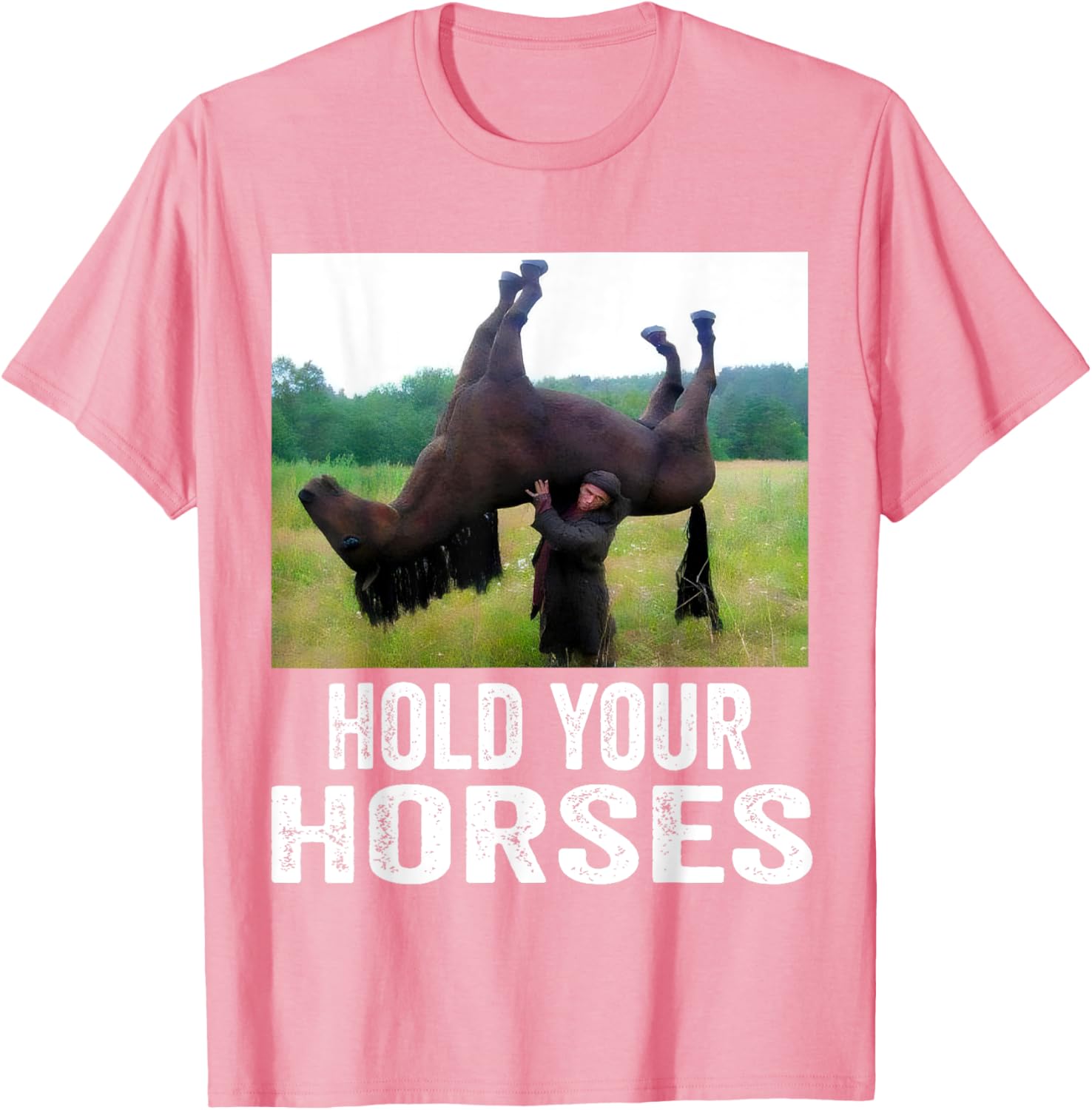 Hold Your Horses Funny Horse Meme T-Shirt for Men and Women - 3