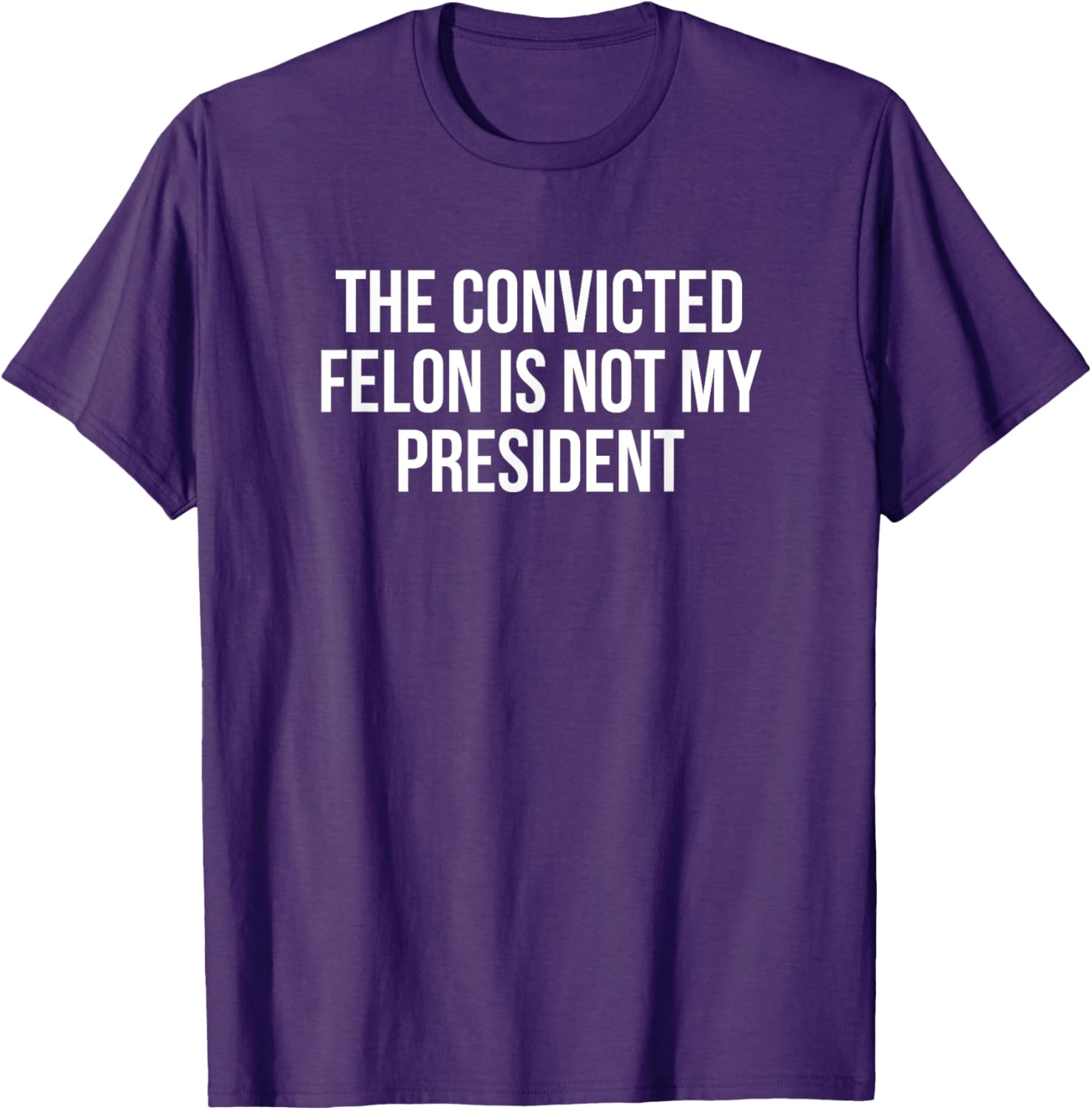 Funny Convicted Felon T-Shirt Statement Shirt for Protest Enthusiasts - 16