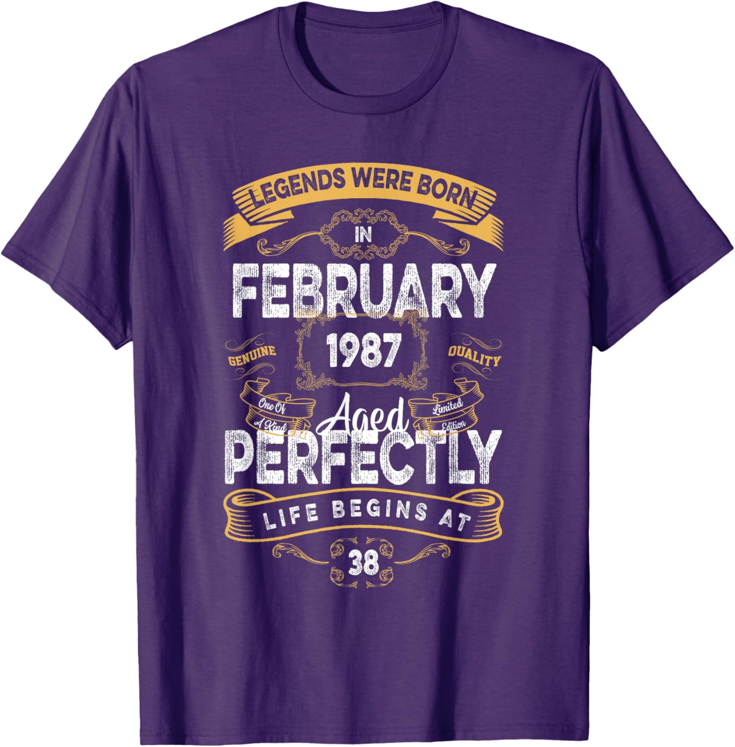 Vintage 38th Birthday T-Shirt for Legends Born in February 1987 - 19