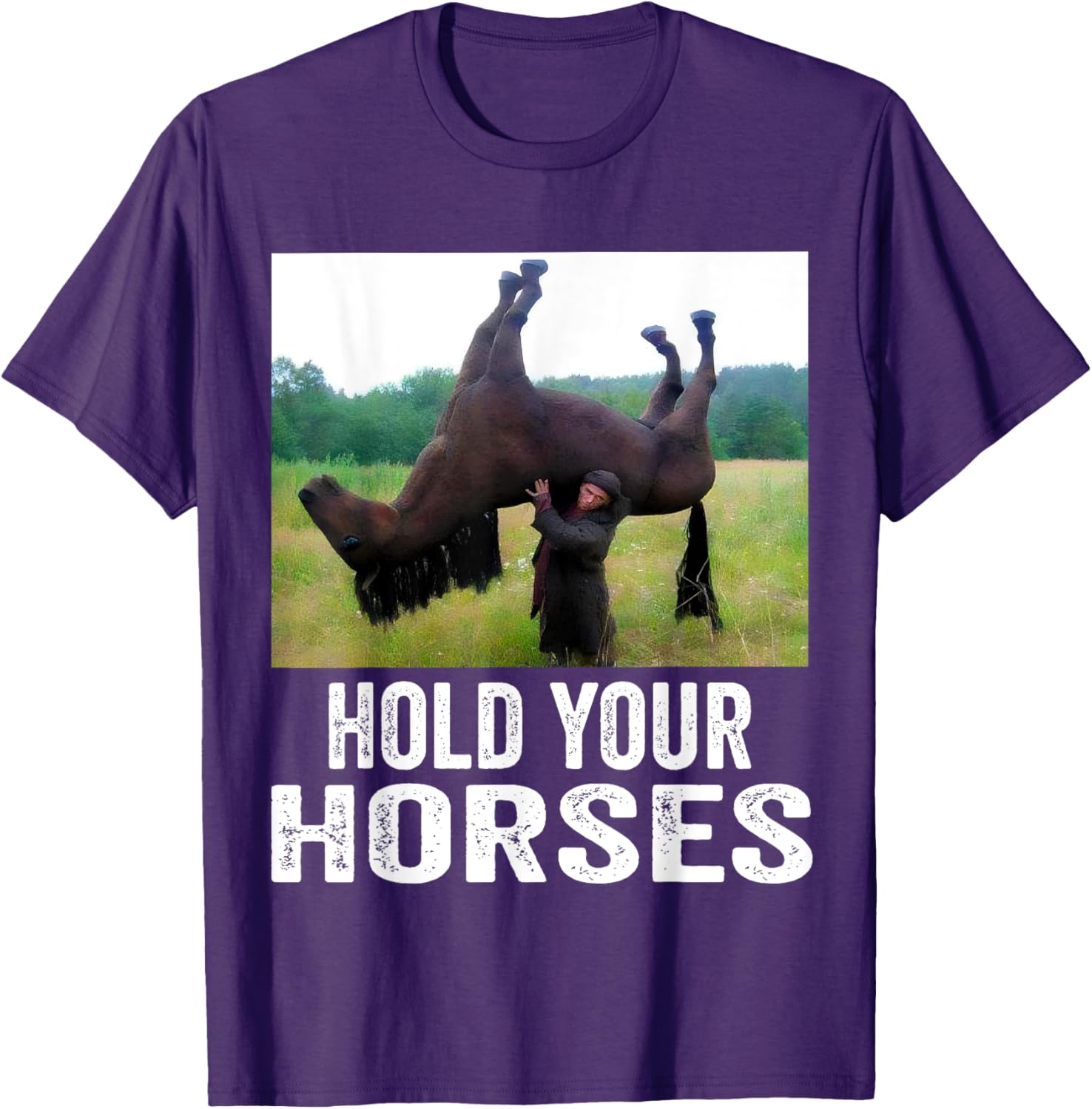 Hold Your Horses Funny Horse Meme T-Shirt for Men and Women - 14