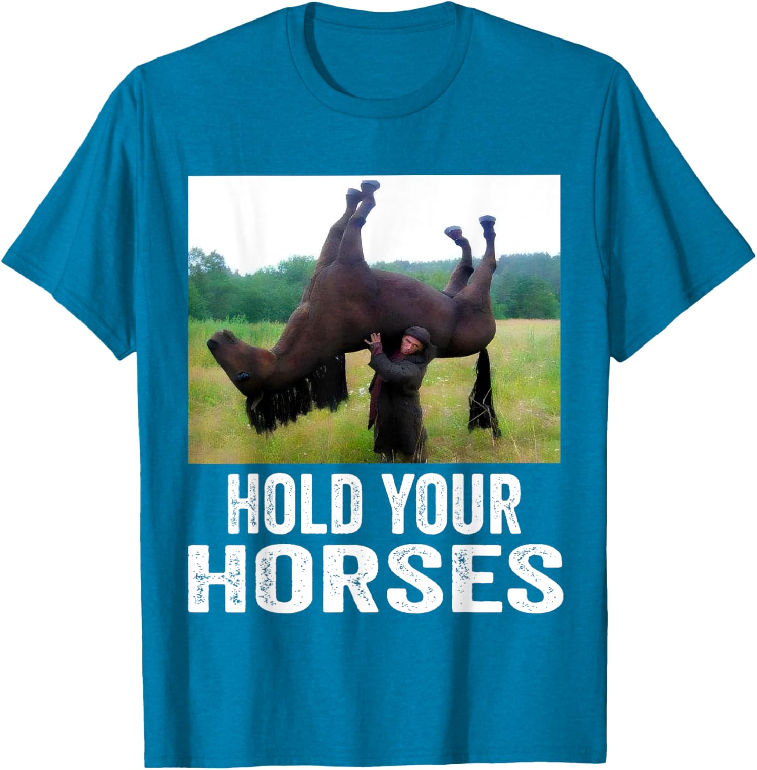 Hold Your Horses Funny Horse Meme T-Shirt for Men and Women - 16