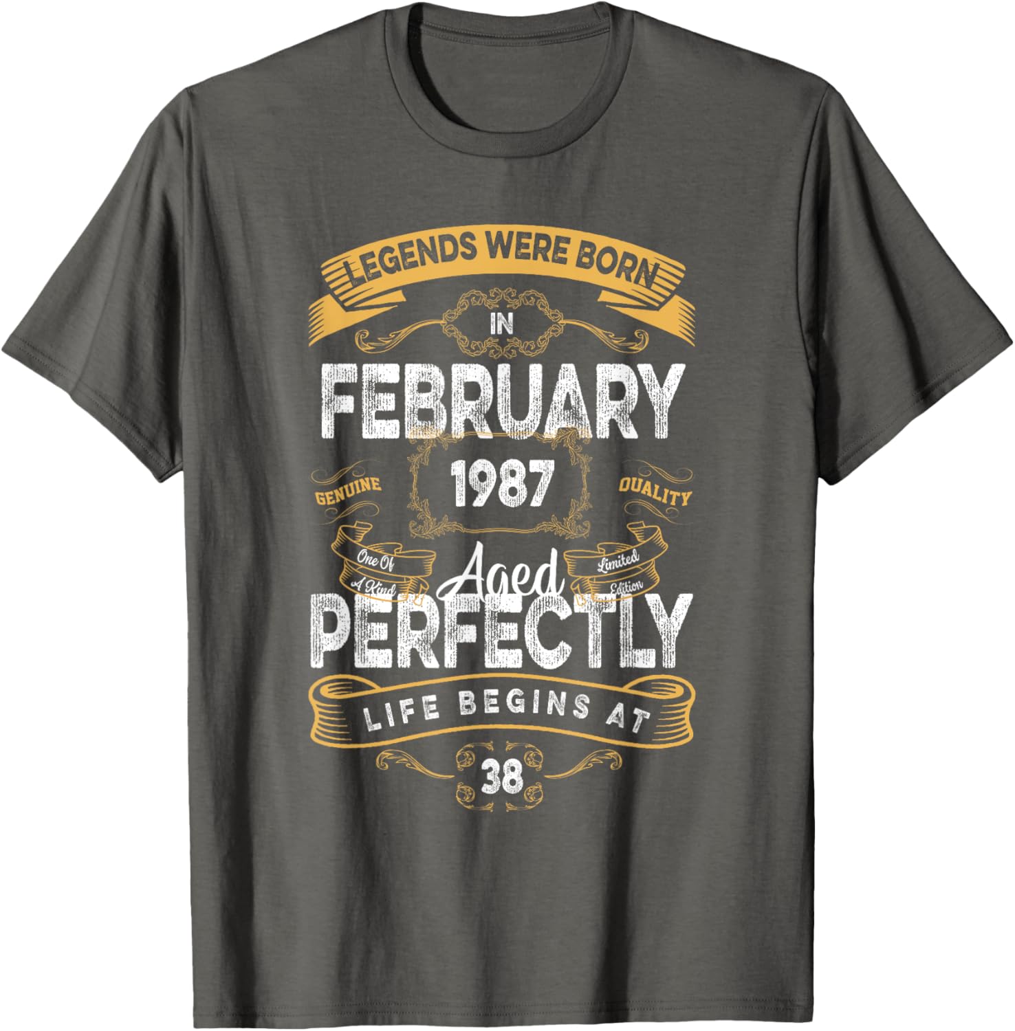 Vintage 38th Birthday T-Shirt for Legends Born in February 1987 - 17