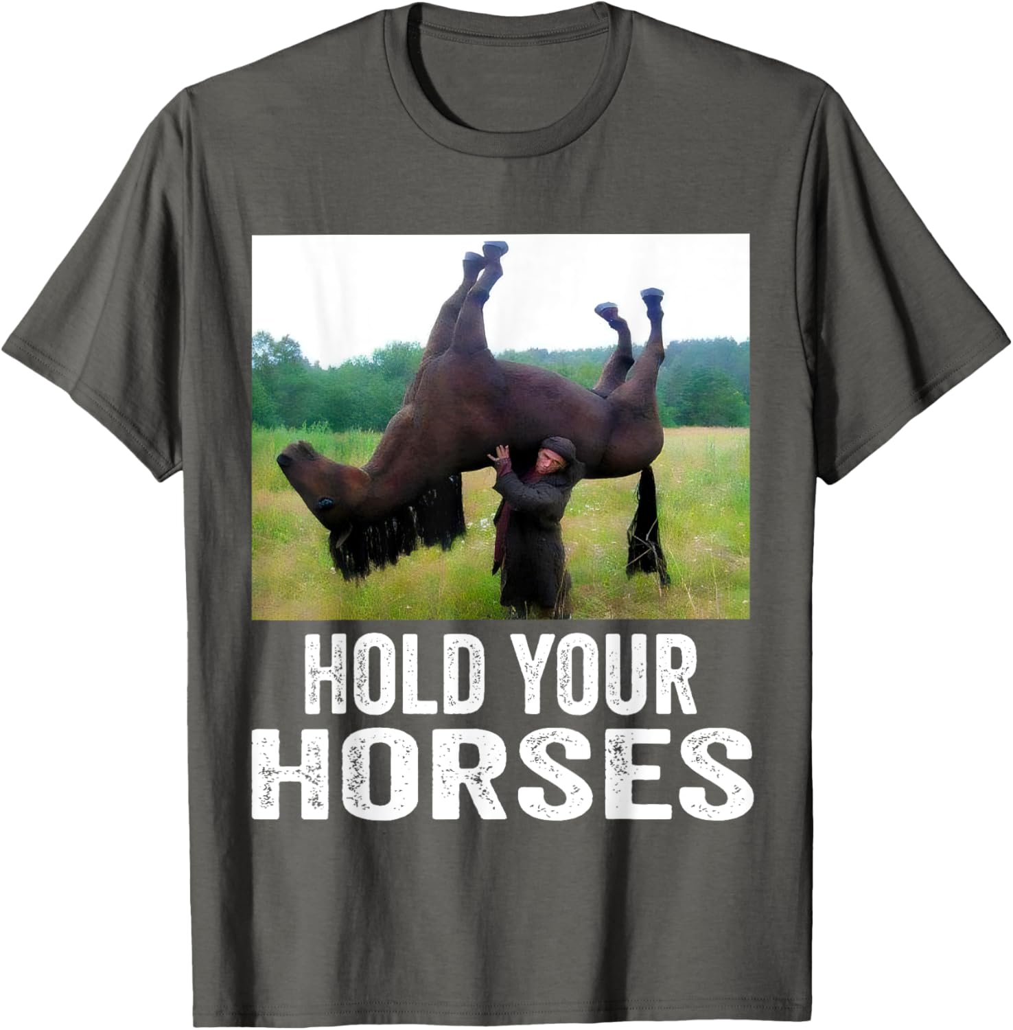 Hold Your Horses Funny Horse Meme T-Shirt for Men and Women - 9