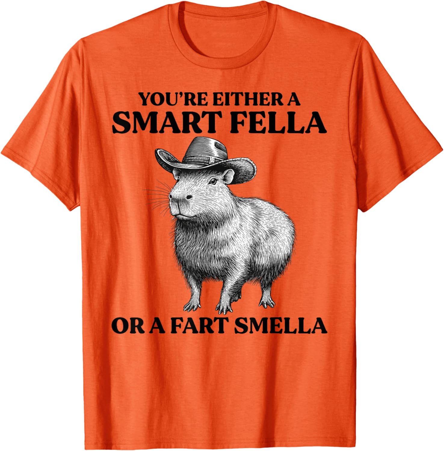 Funny Capybara T-Shirt You're Either A Smart Fella Or A Fart Smella - 10