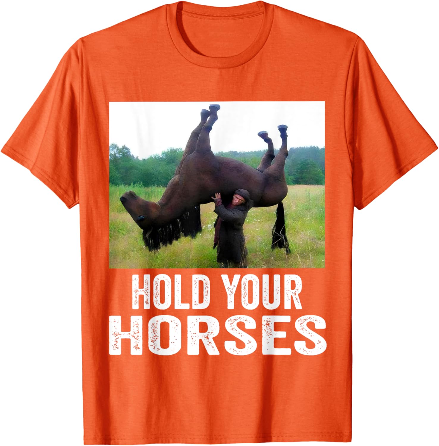 Hold Your Horses Funny Horse Meme T-Shirt for Men and Women - 18