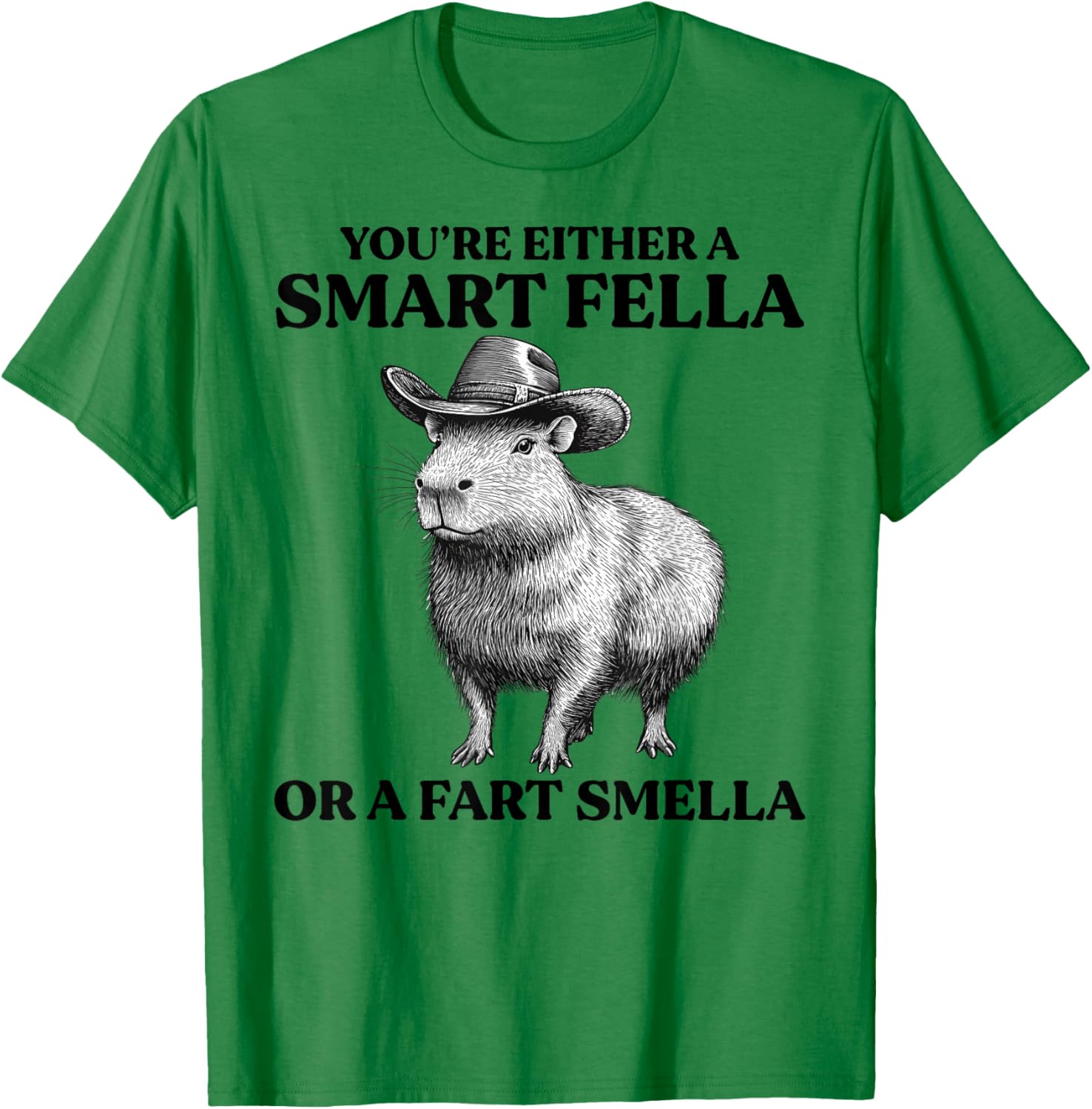 Funny Capybara T-Shirt You're Either A Smart Fella Or A Fart Smella - 14