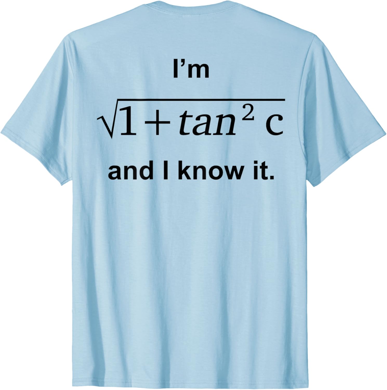 I'm 1 + Tan 2c And I Know It Fun Graphic T-Shirt for Kids - 5