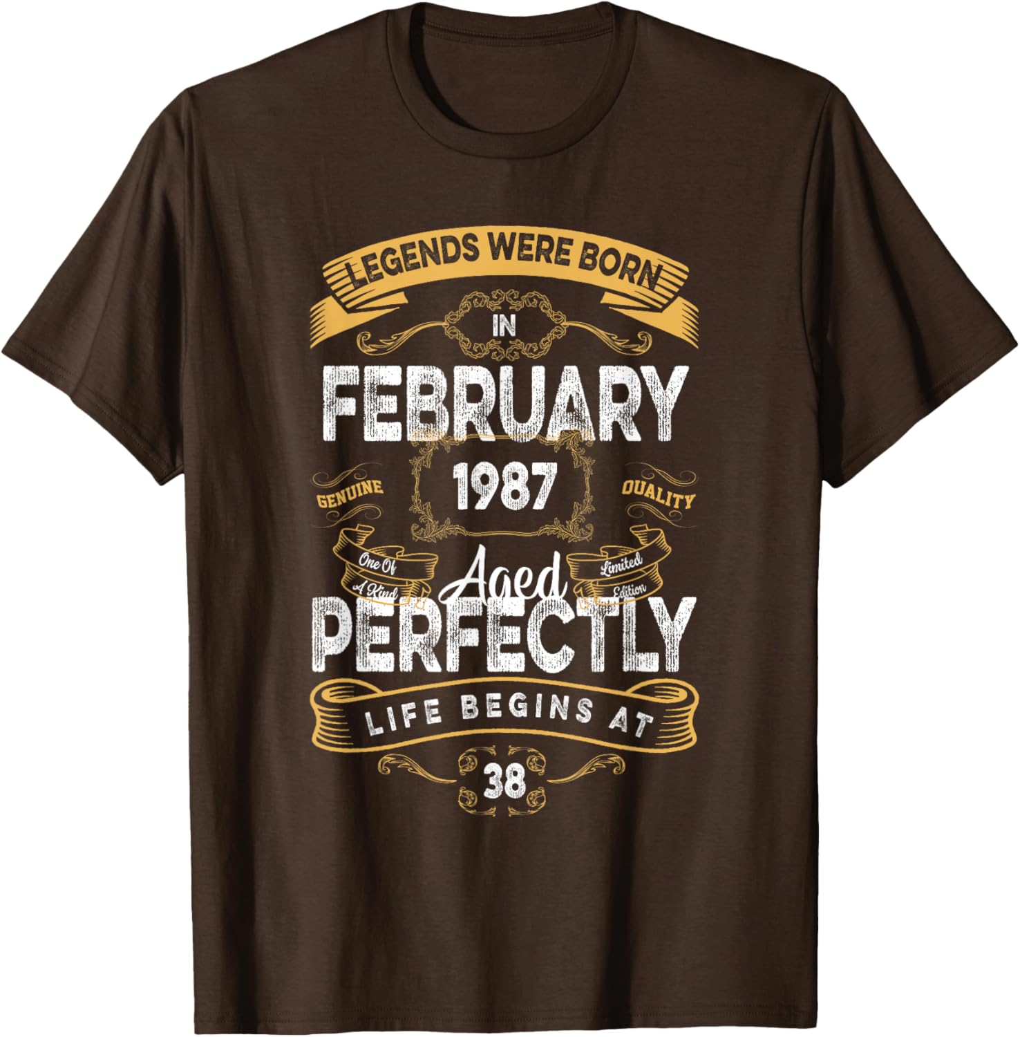 Vintage 38th Birthday T-Shirt for Legends Born in February 1987 - 13