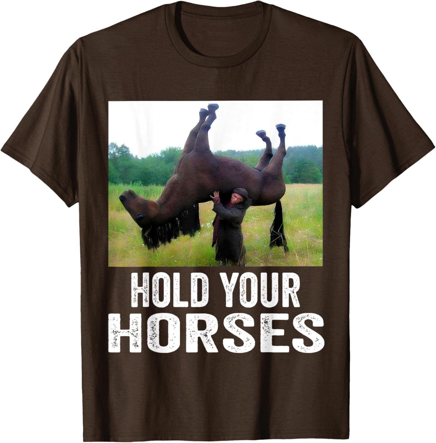 Hold Your Horses Funny Horse Meme T-Shirt for Men and Women - 22