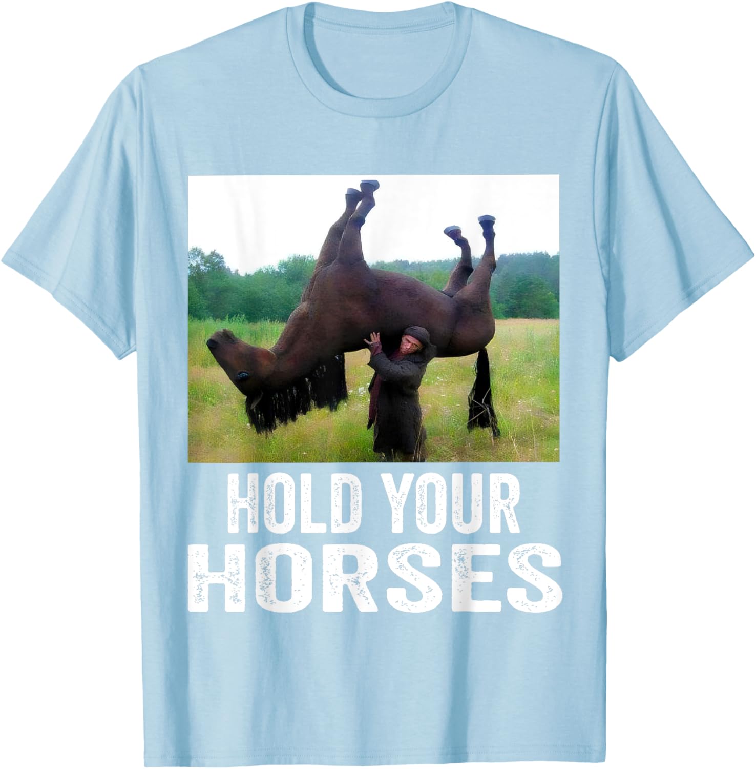 Hold Your Horses Funny Horse Meme T-Shirt for Men and Women - 28