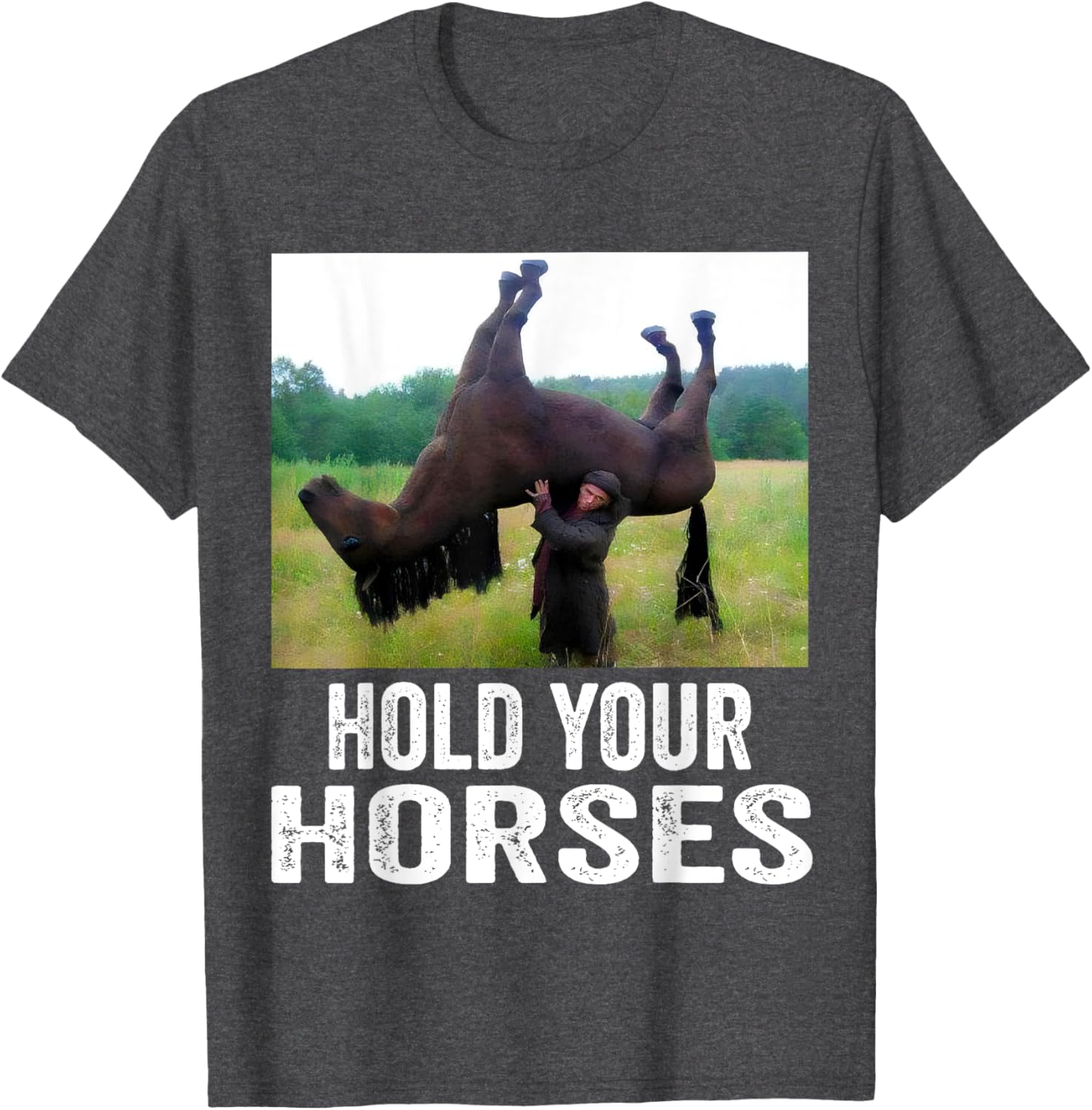 Hold Your Horses Funny Horse Meme T-Shirt for Men and Women - 26