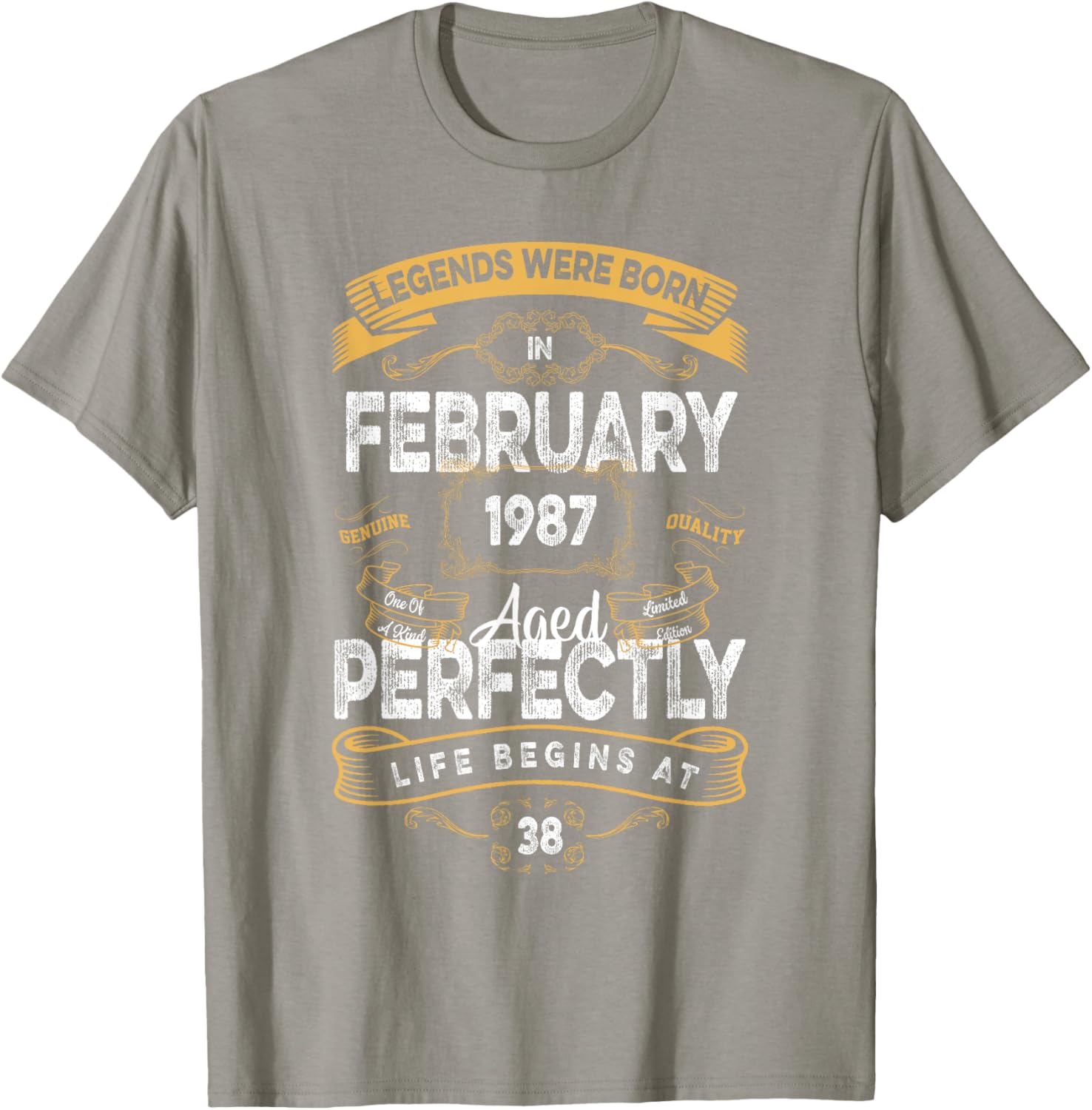Vintage 38th Birthday T-Shirt for Legends Born in February 1987 - 15