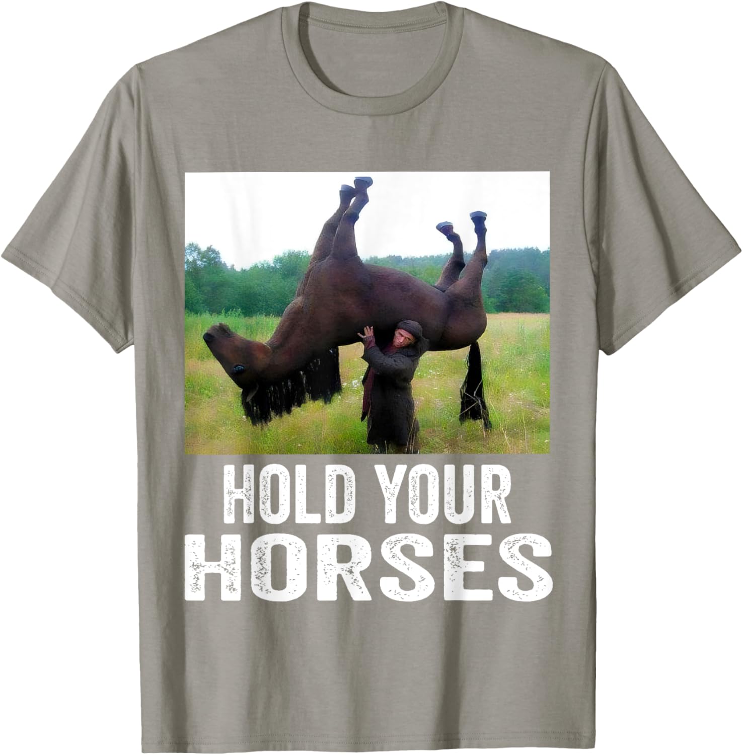 Hold Your Horses Funny Horse Meme T-Shirt for Men and Women - 8