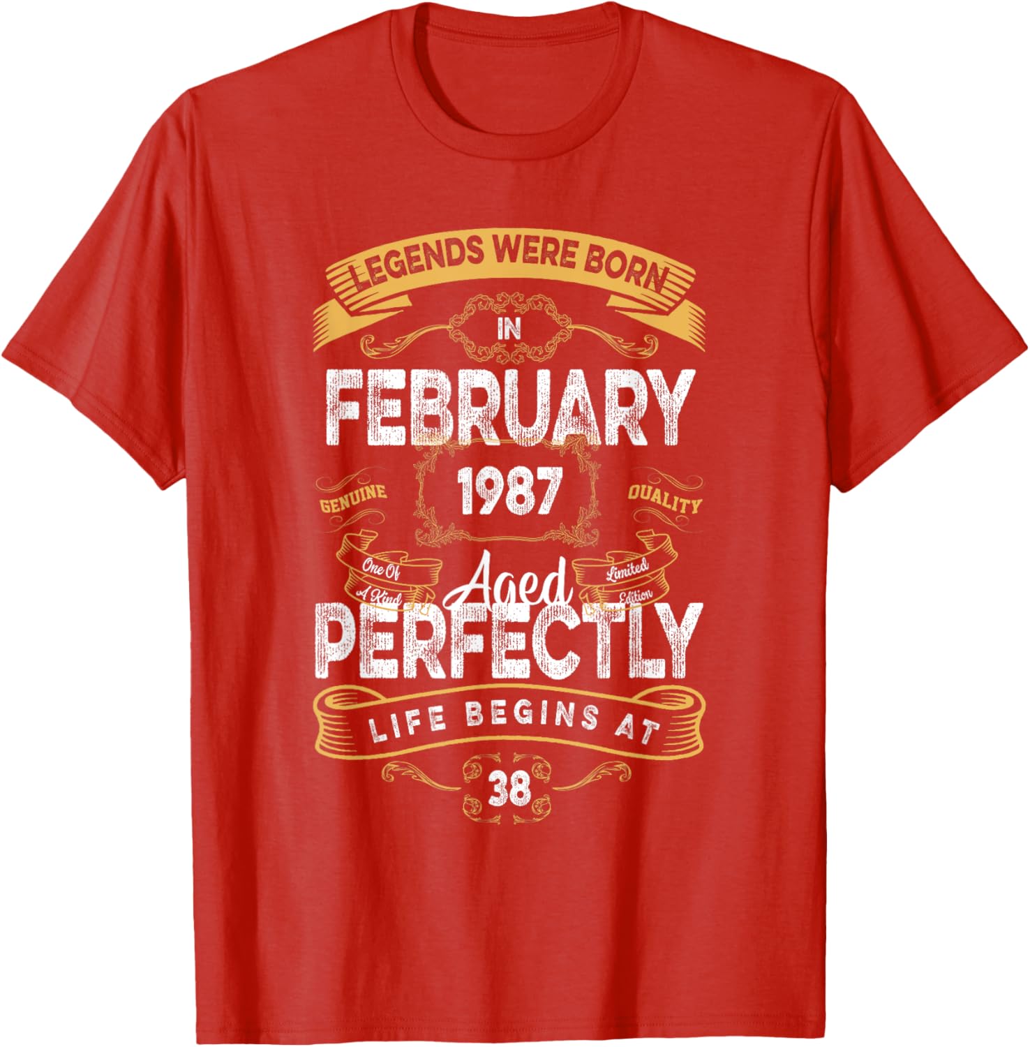 Vintage 38th Birthday T-Shirt for Legends Born in February 1987 - 18