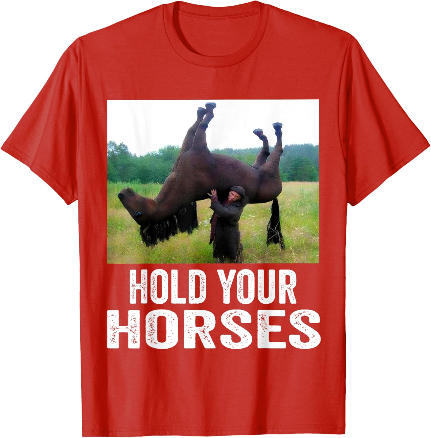Hold Your Horses Funny Horse Meme T-Shirt for Men and Women - 27
