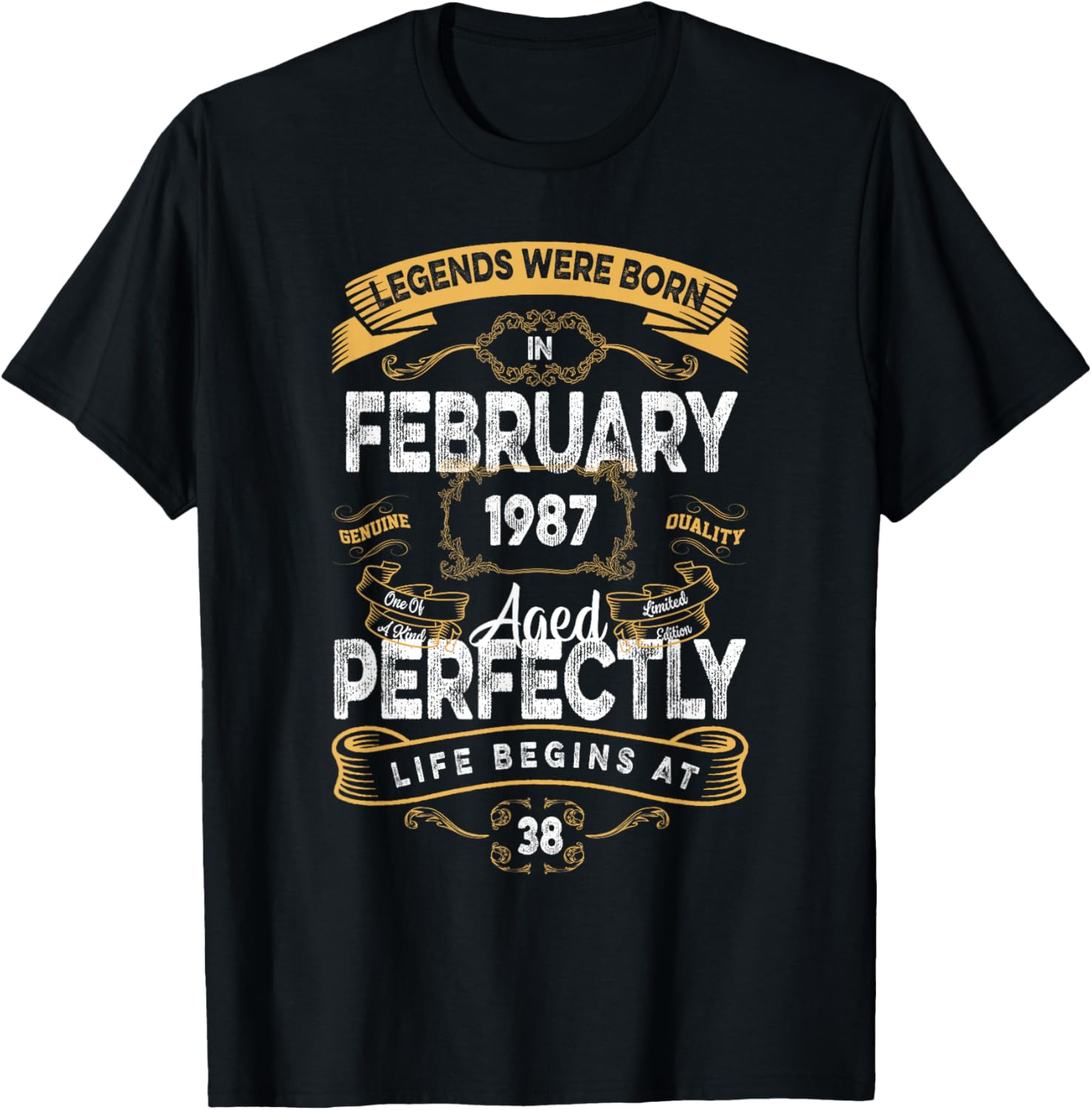 Vintage 38th Birthday T-Shirt for Legends Born in February 1987 - 2