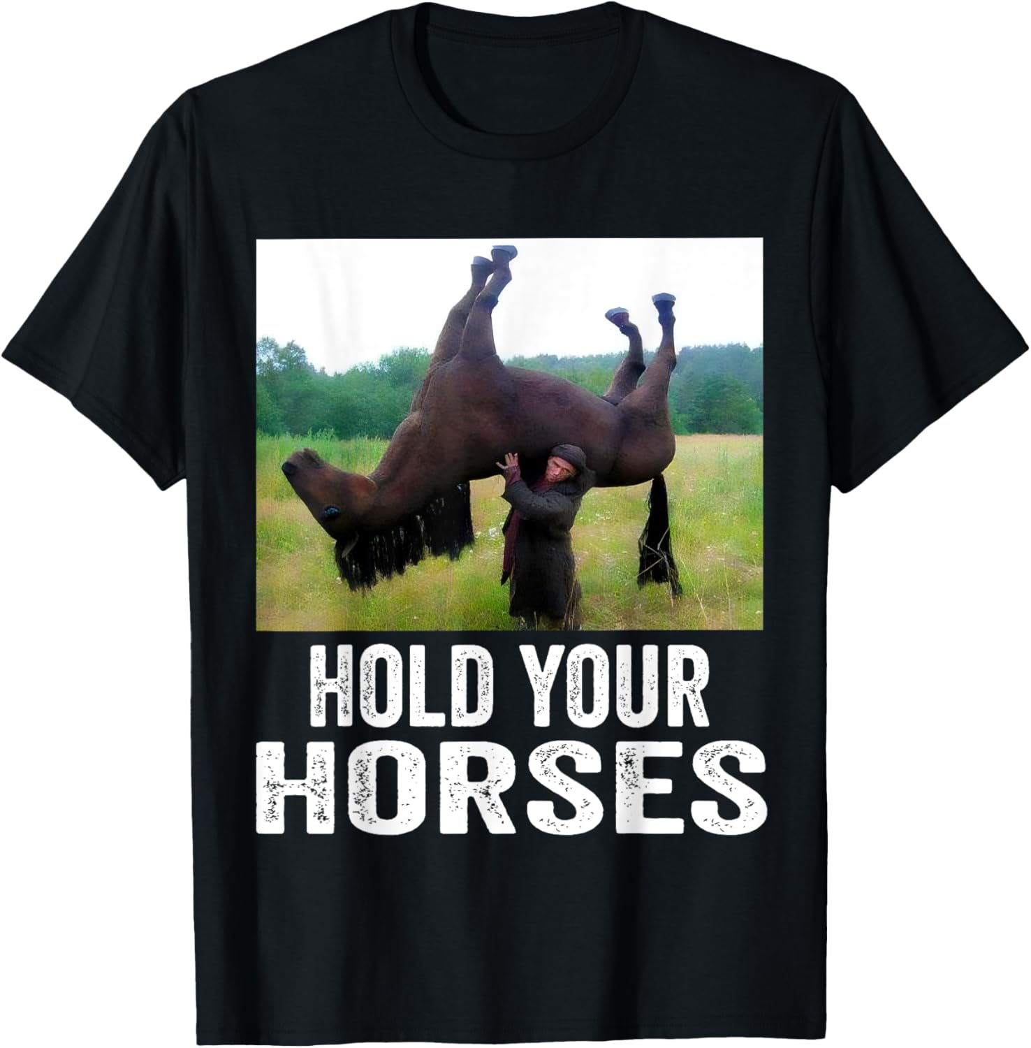 Hold Your Horses Funny Horse Meme T-Shirt for Men and Women - 29