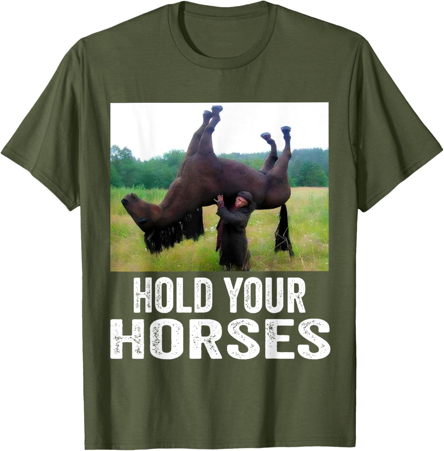 Hold Your Horses Funny Horse Meme T-Shirt for Men and Women - 11
